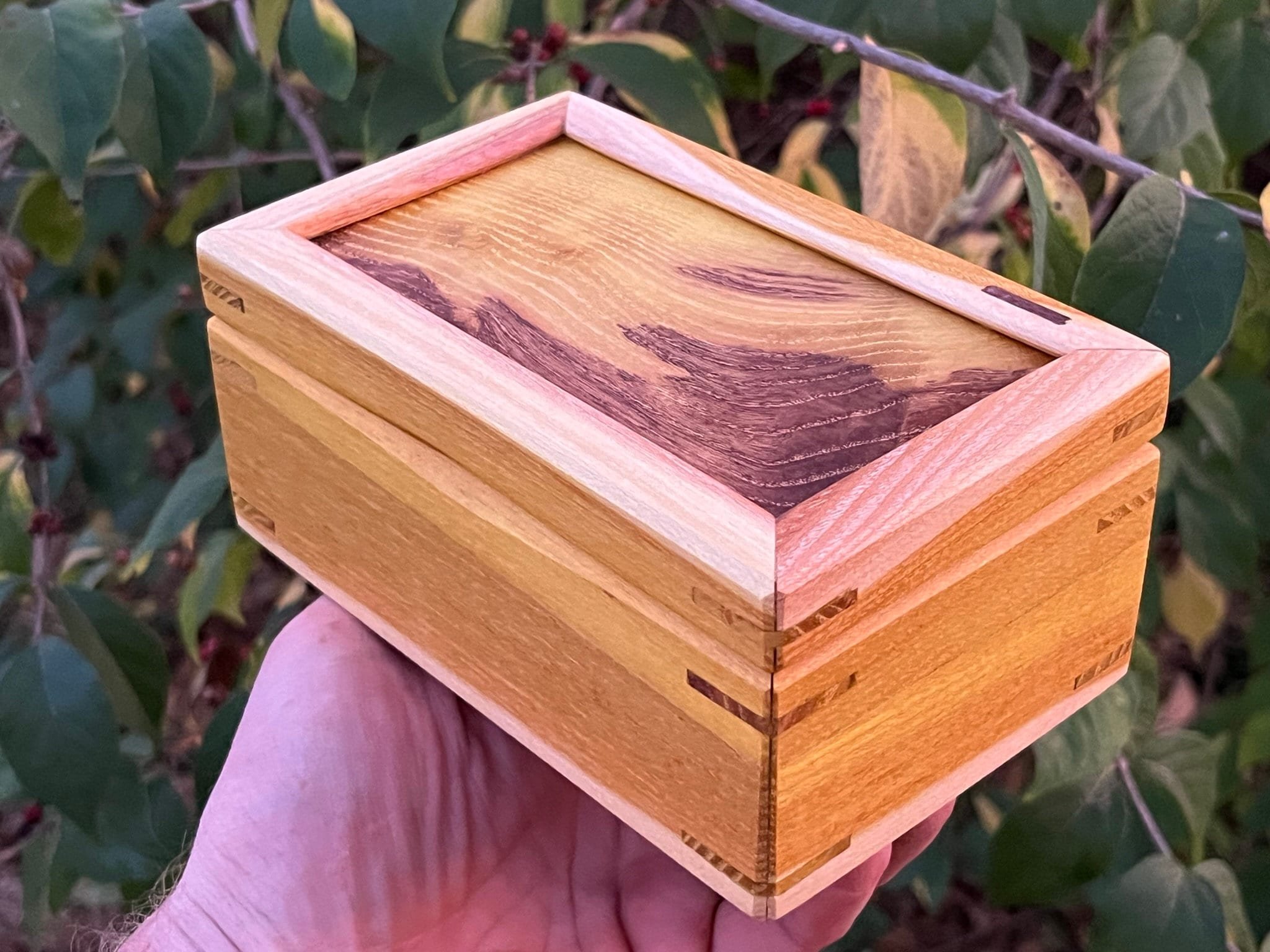 https://i.etsystatic.com/33218092/r/il/6891c1/5555699294/il_fullxfull.5555699294_obiv.jpg