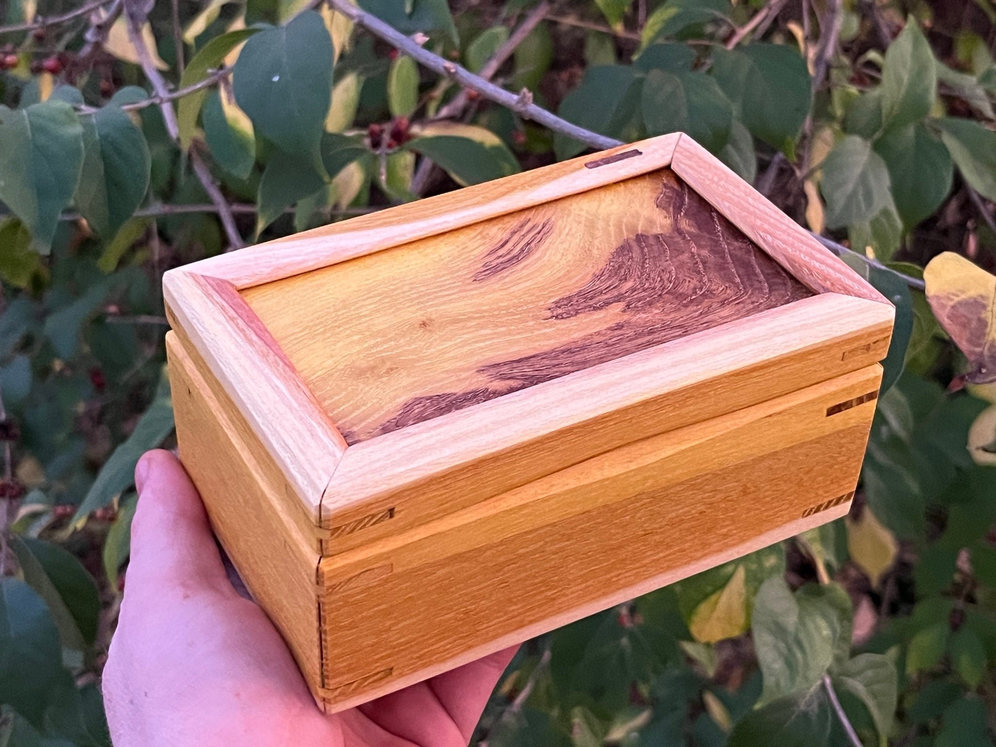 https://i.etsystatic.com/33218092/r/il/6591e8/5603807619/il_fullxfull.5603807619_4a0z.jpg