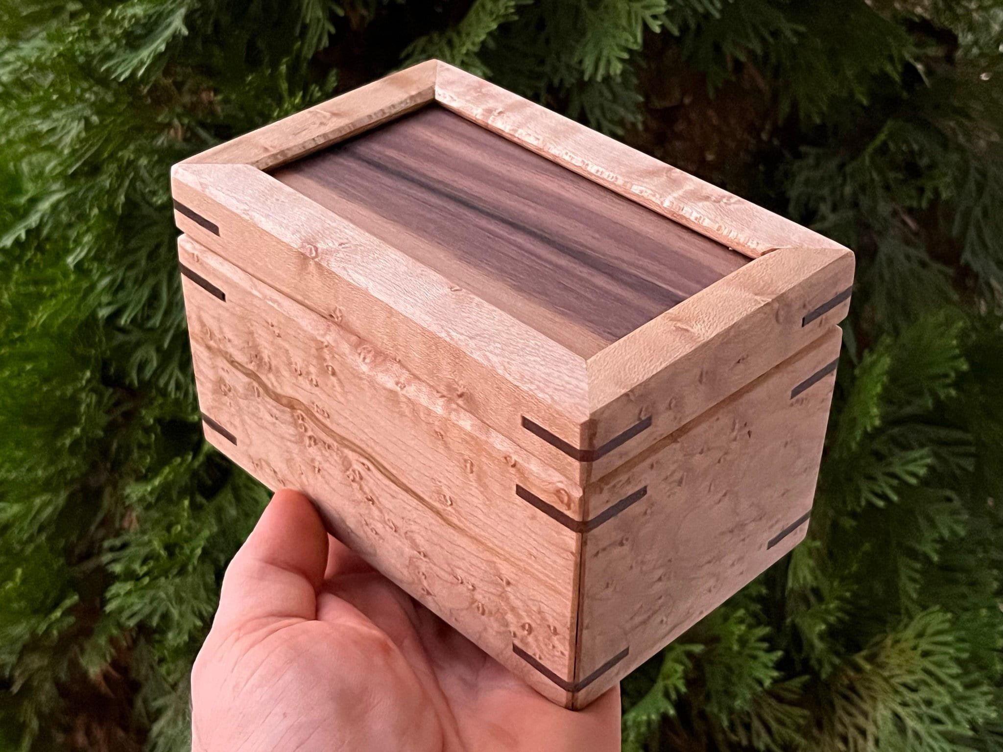 https://i.etsystatic.com/33218092/r/il/e2e5fa/5555690104/il_fullxfull.5555690104_775i.jpg