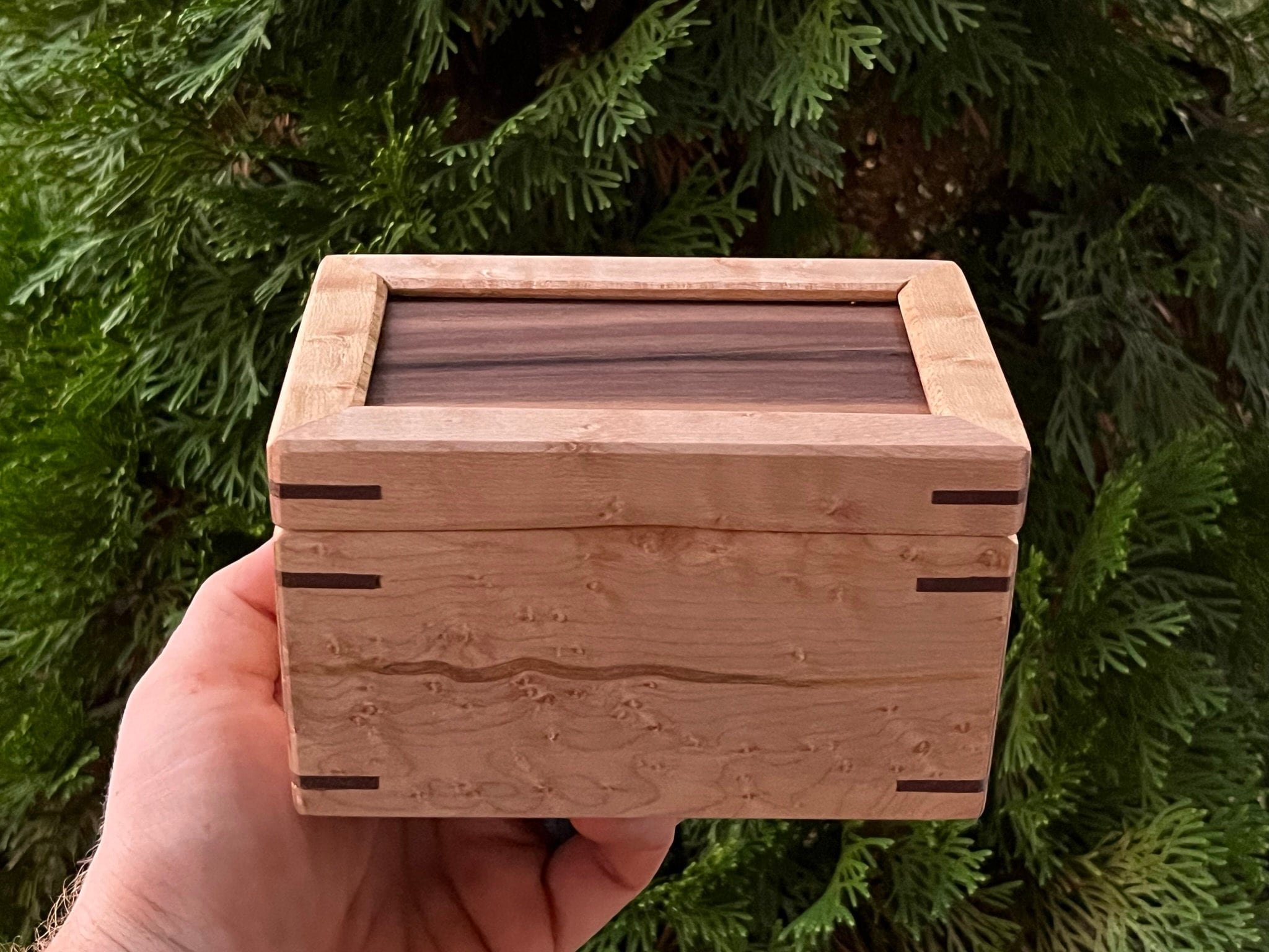 https://i.etsystatic.com/33218092/r/il/7ba891/5603798509/il_fullxfull.5603798509_rcsp.jpg