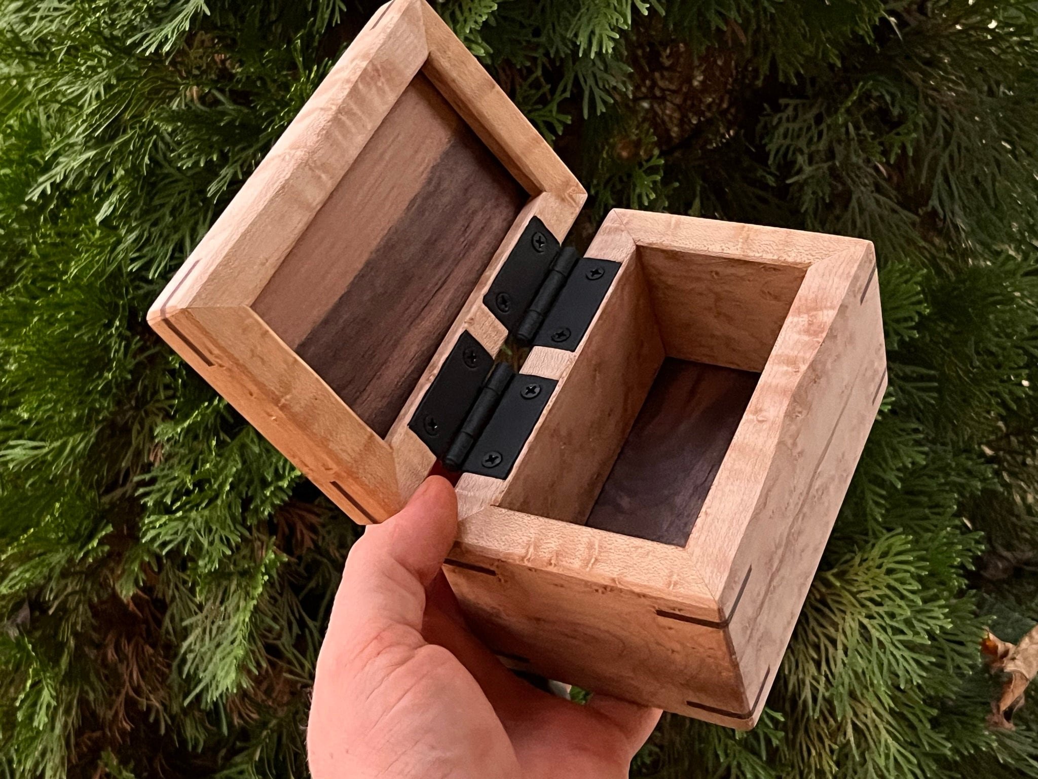 https://i.etsystatic.com/33218092/r/il/0e61ca/5555690114/il_fullxfull.5555690114_tse5.jpg