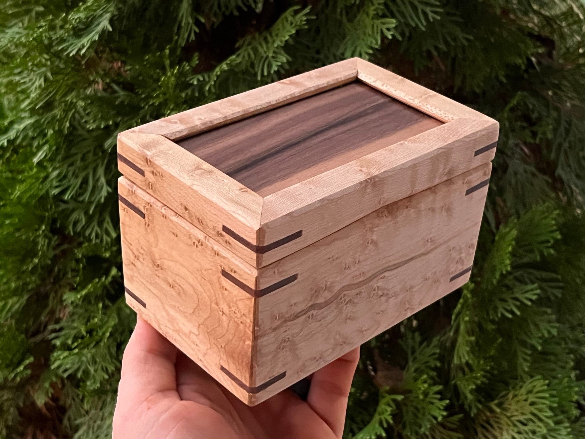 https://i.etsystatic.com/33218092/r/il/a1e749/5555690110/il_fullxfull.5555690110_855t.jpg