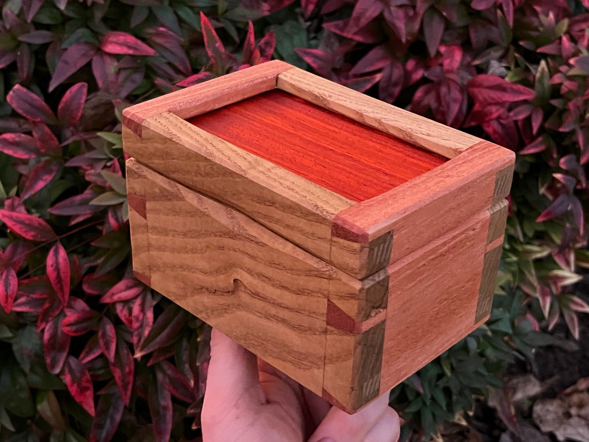 https://i.etsystatic.com/33218092/r/il/38d7b9/5555681084/il_fullxfull.5555681084_rc2j.jpg