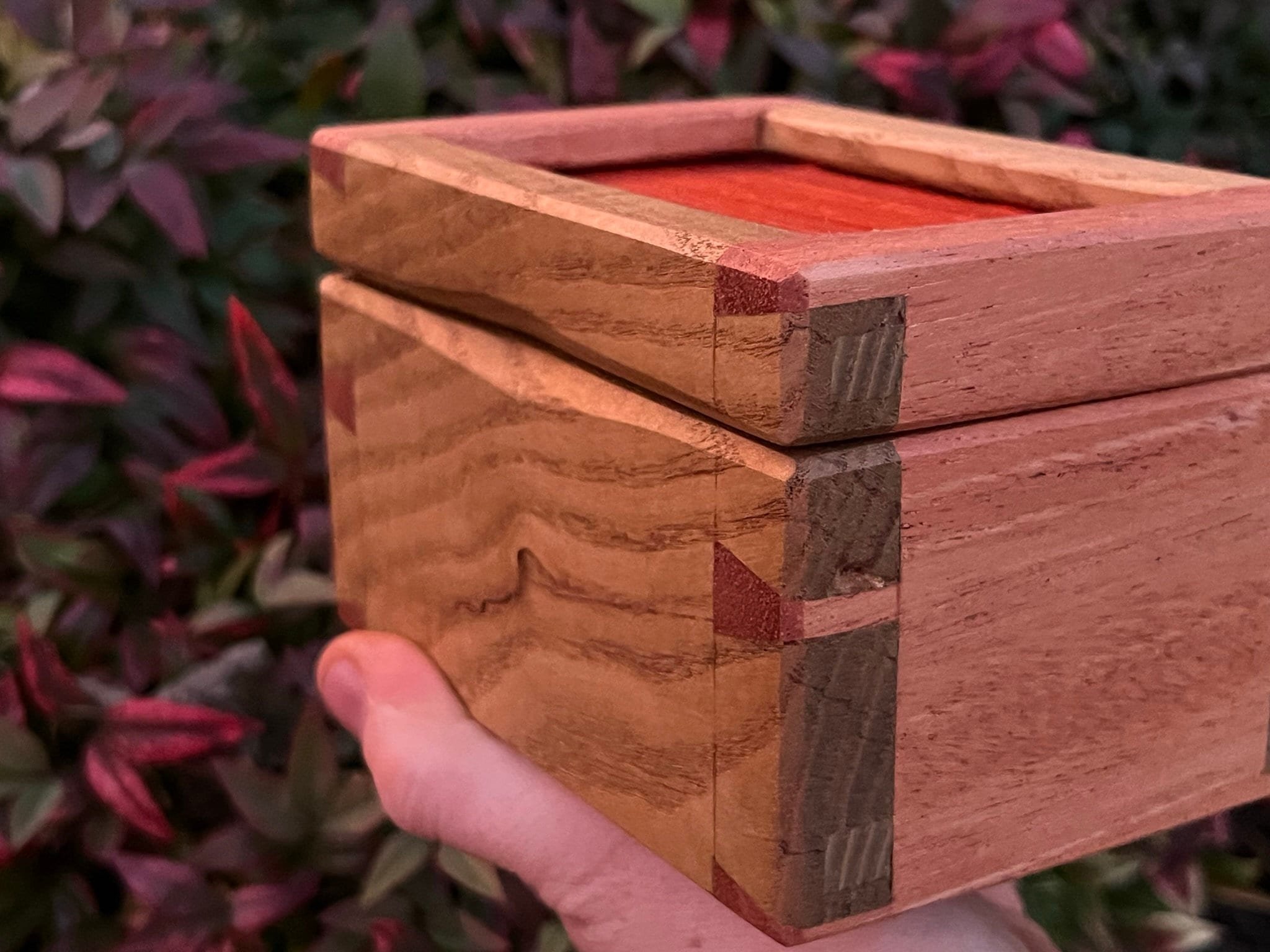 https://i.etsystatic.com/33218092/r/il/b04673/5555681070/il_fullxfull.5555681070_hjr4.jpg