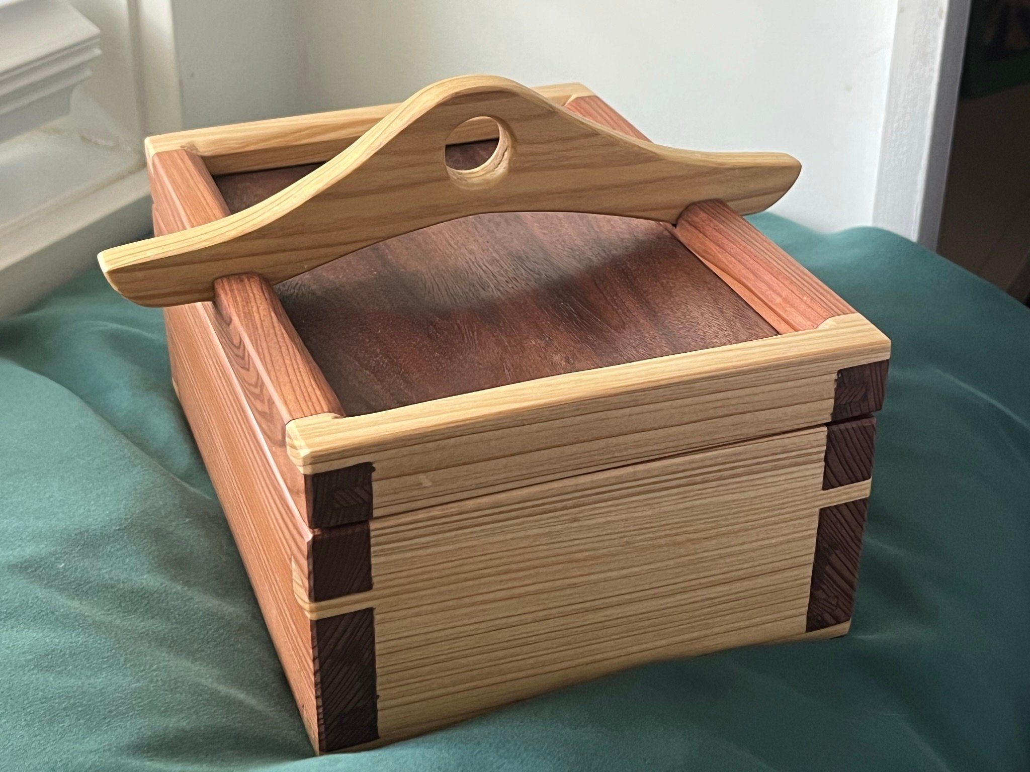 https://i.etsystatic.com/33218092/r/il/01fb3a/5603770253/il_fullxfull.5603770253_tlcl.jpg