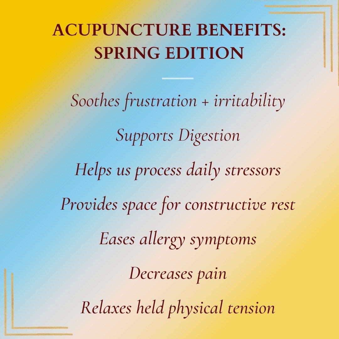 Each season brings its own gifts and challenges 🌱 Receiving care looks different in the Spring than it does in the Fall.

In Spring, your acupuncturist will shift the treatment to focus on moving stagnant Qi, supporting the Liver + Gallbladder, and 