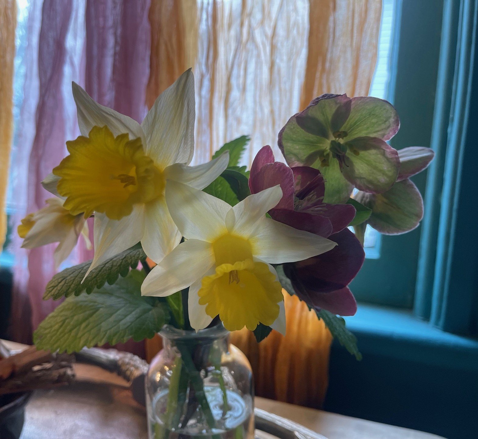 Sunday mood: daffodils, hellebore, and lemon balm bouquet for resting after an active day of organizing and community building!

We had such a lovely time trading clothes, chatting, and eating snacks from @peacefulprovisions + @kitchen.coffee.beacon 