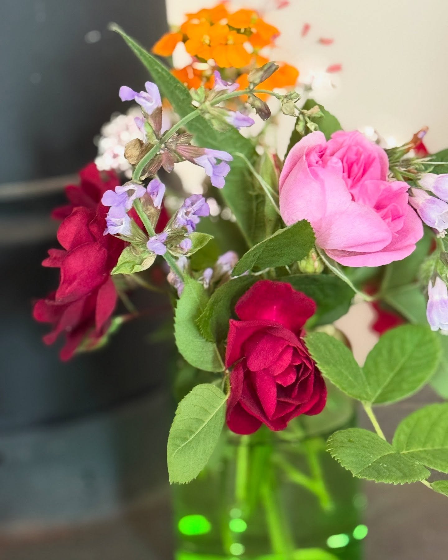 Herbs for healing: rose, valerian, sage, comfrey…
Working with plants is not just about their medicinal constituents. It is also about relationship, season, intention, and presence. All acts of love and devotion are an invitation to heal. πΉ?