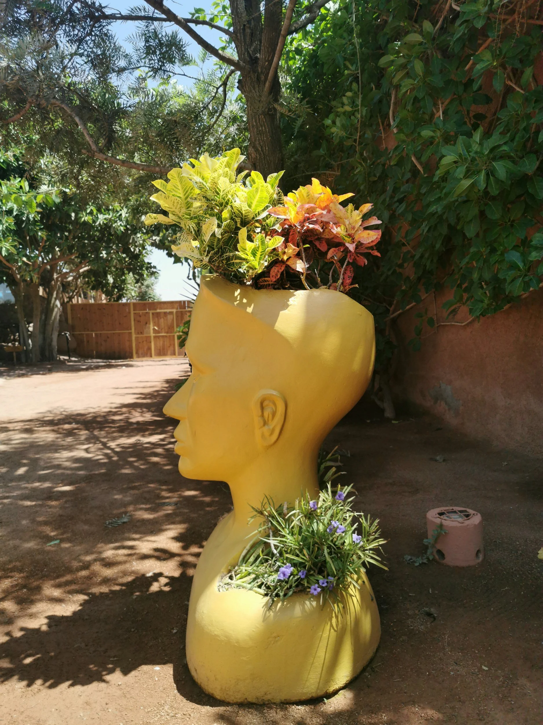 Meditation + Nervous System Reset