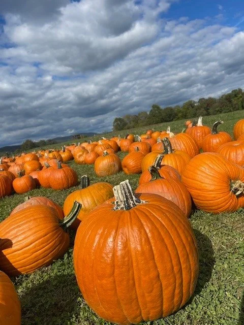 If you were out yesterday and felt the joy of being in community - don't let it be an isolated incident!
We are here - gathering every week to heal, restore, and dream new worlds. Most of our offerings have free and sliding scale options. We are in