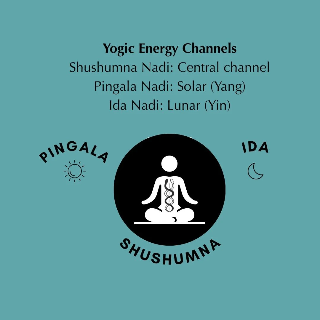 Our next two Yoga NIdra classes will focus on balance of the Ida &amp; Pingala - two energy channels that travel up the spine. 

In nature, Ida and Pingala represent dualities in a similar way to the concepts of Yang/Yin, Solar/Lunar, Right/Left. Whe