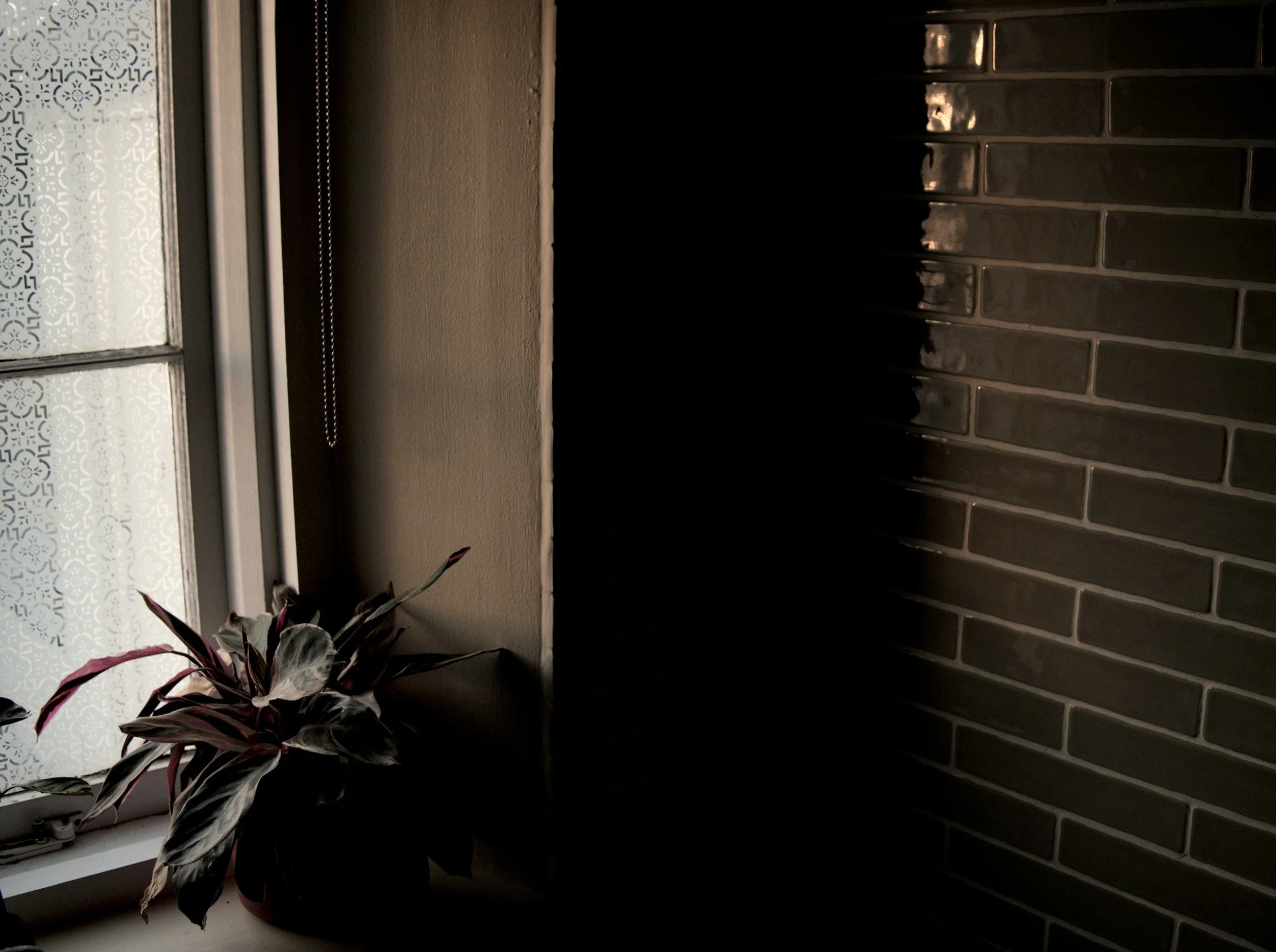 DayDream x Newburgh Yoga Shala - 1 Day Yoga Nidra Immersion