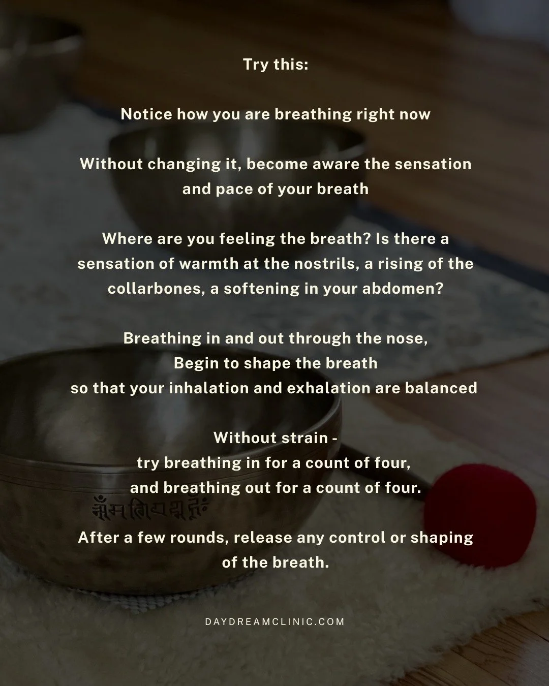 A note for survivors (and anyone impacted by cycles of violence):

Notice how you are breathing right now. Maybe you are breathing deeply, maybe you are screaming, chanting, singing, ugly crying, or humming. Maybe you haven't exhaled deeply in a long