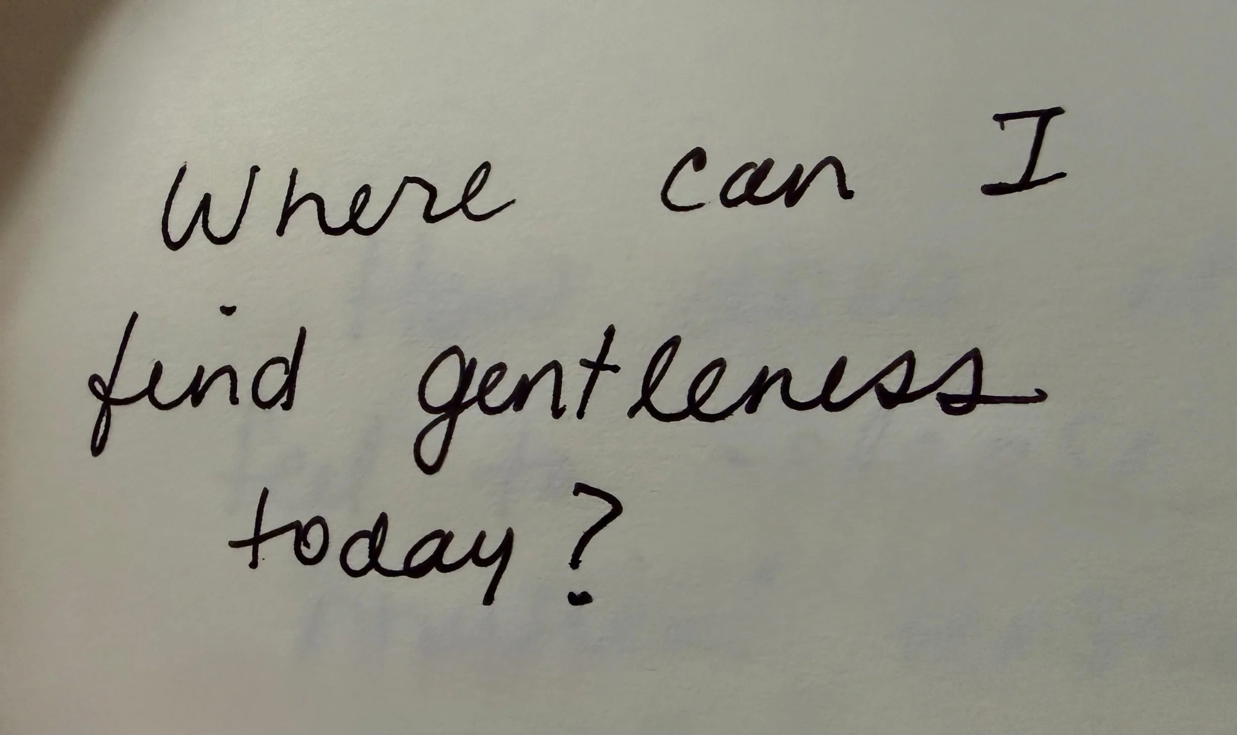 We can learn to be gentle with ourselves and one another. It is a skill that gets easier with practice. 💕

Where can you find gentleness today? 

We will be practicing gentleness with tuning forks, singing bowls, and a guided yoga Nidra meditation t