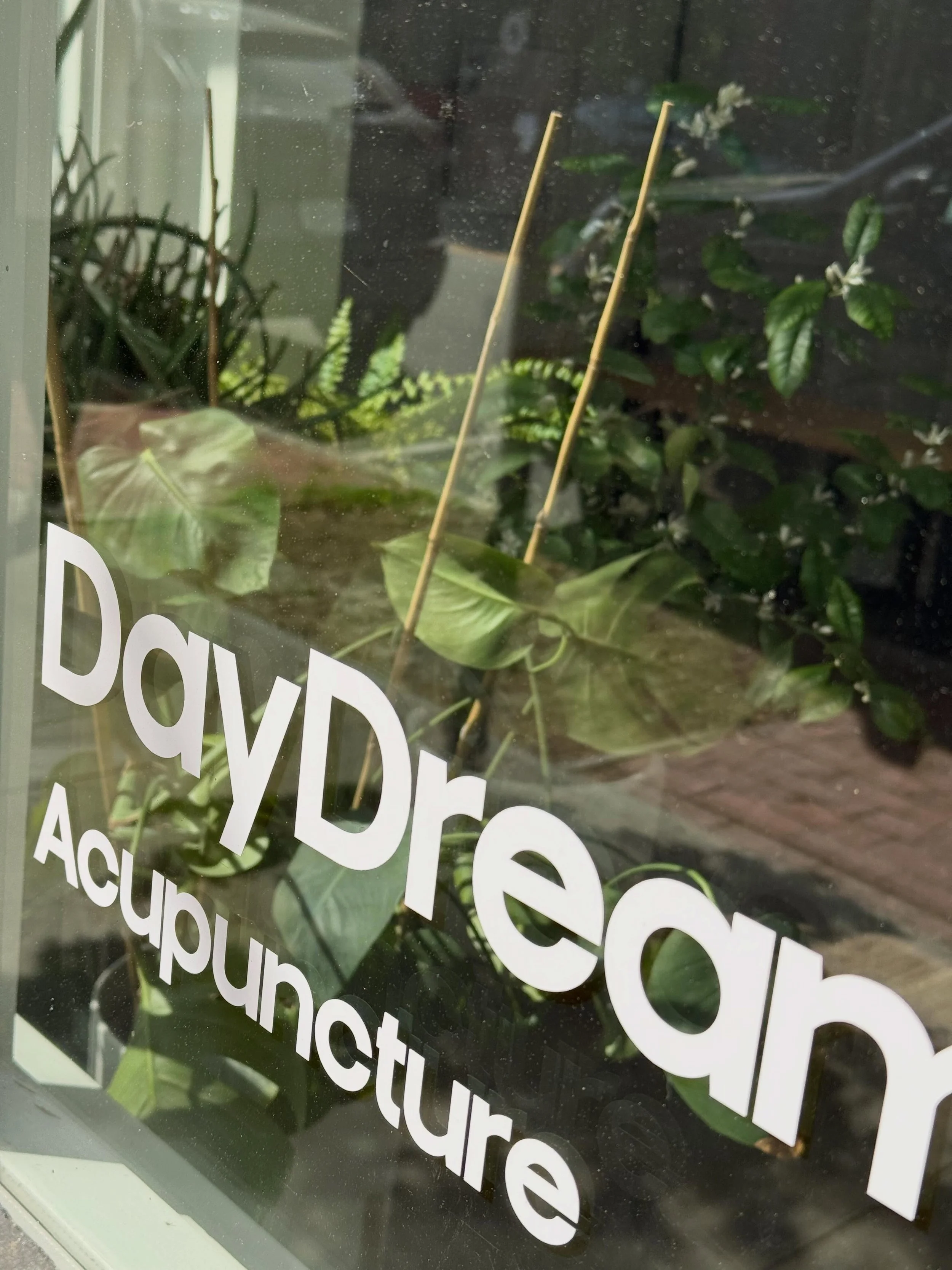 DayDream&rsquo;s baby lime tree is happy and flowering at our new space 🍋&zwj;🟩

The smell is inroxicating - a mix of orange blossom + honeysuckle + magic. Like so many good things it is happening for a short time only and cannot be experienced thr