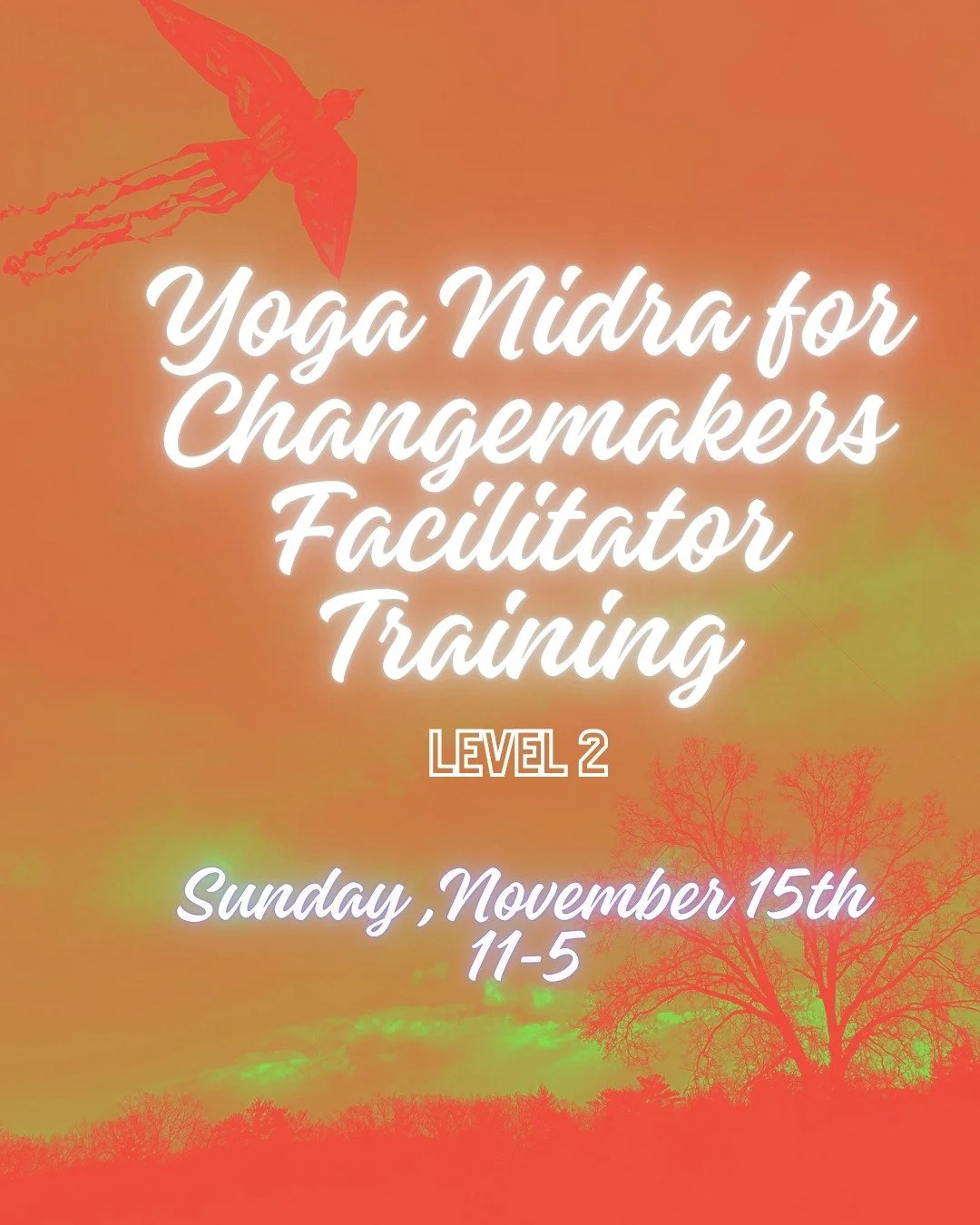 Yoga Nidra Facilitator Training Level 2