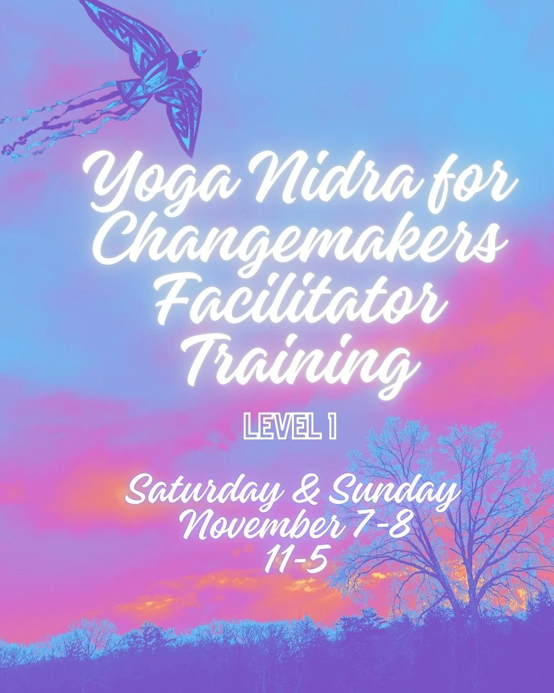 Yoga Nidra Facilitator Training Level 1 