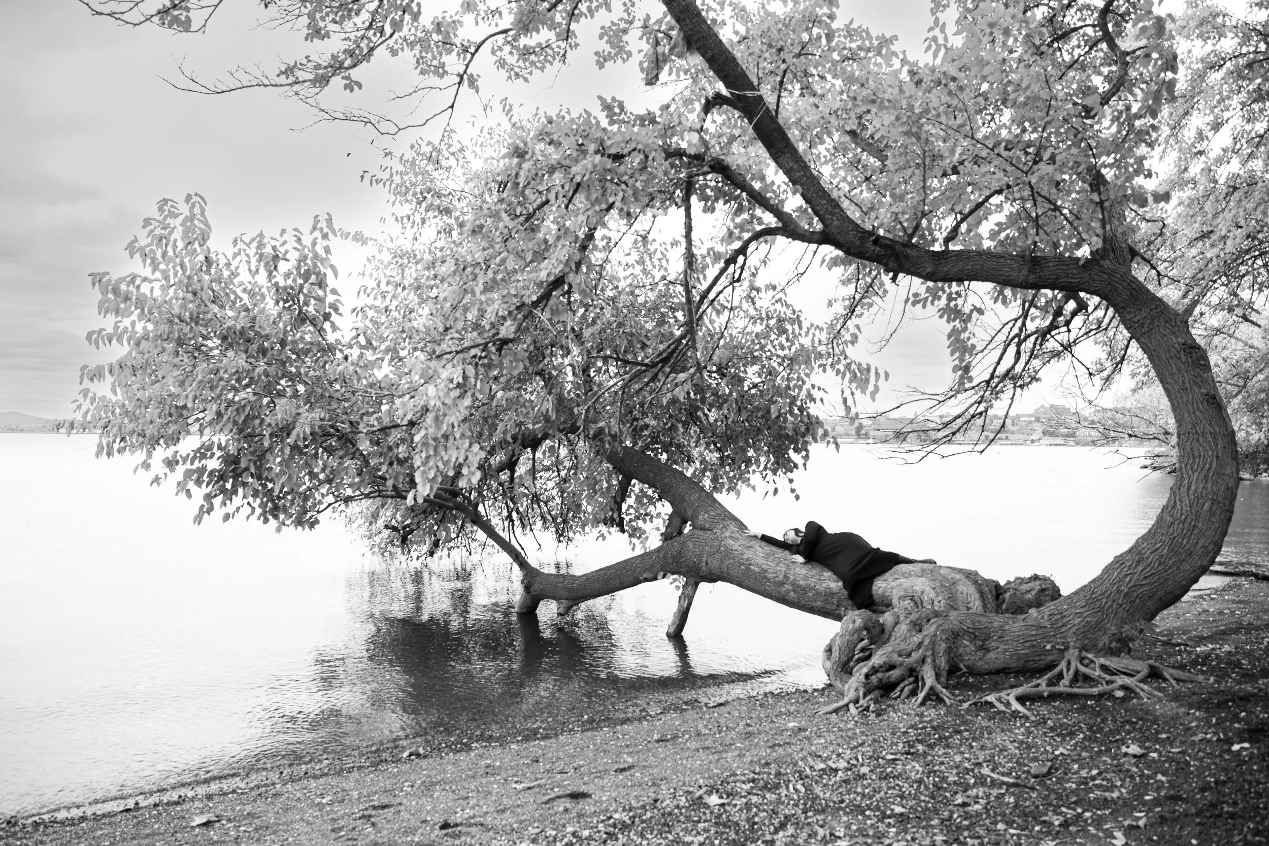 Yoga Nidra Immersion 4 Week Series