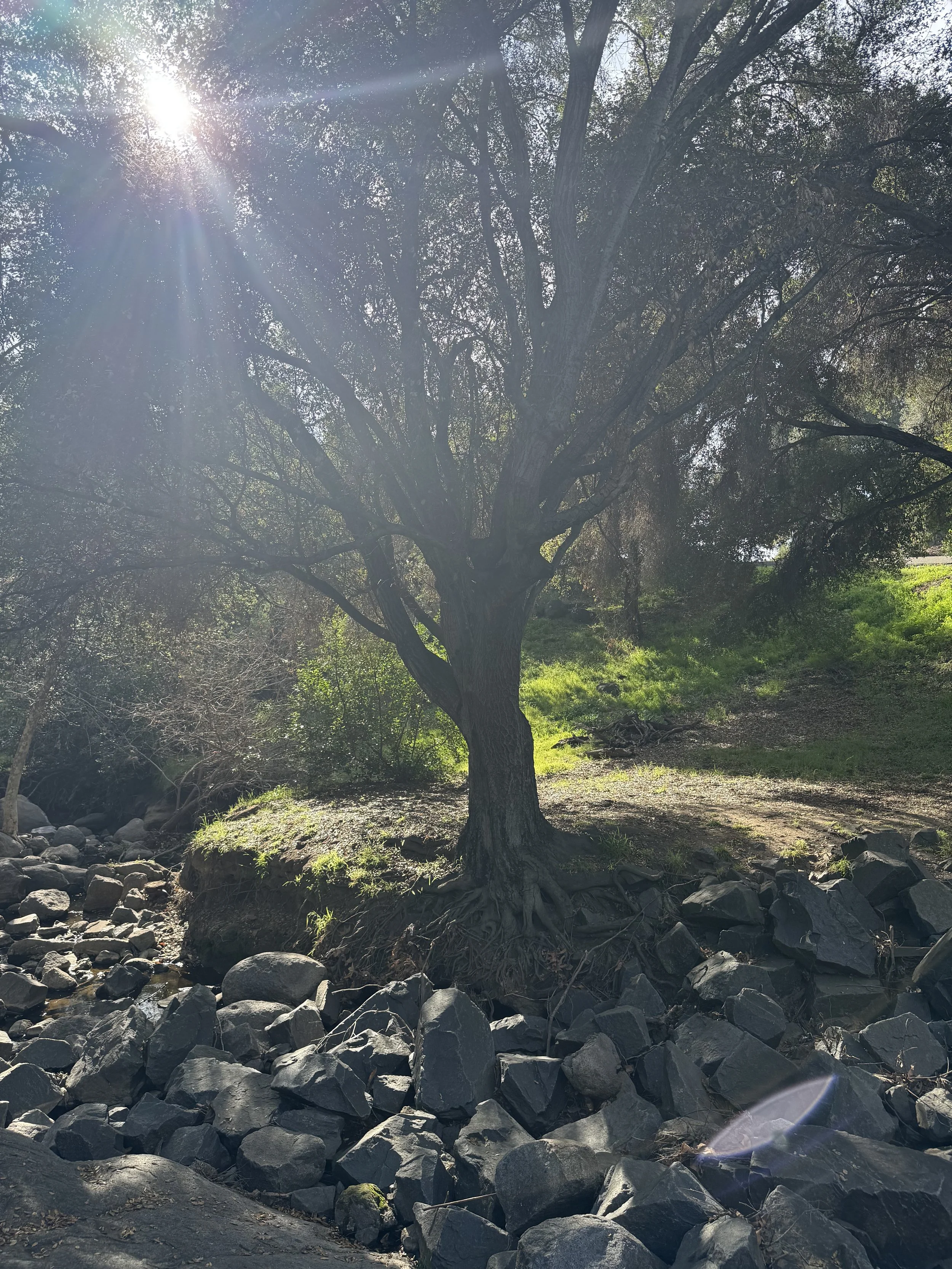 My Walden, Ten Days In