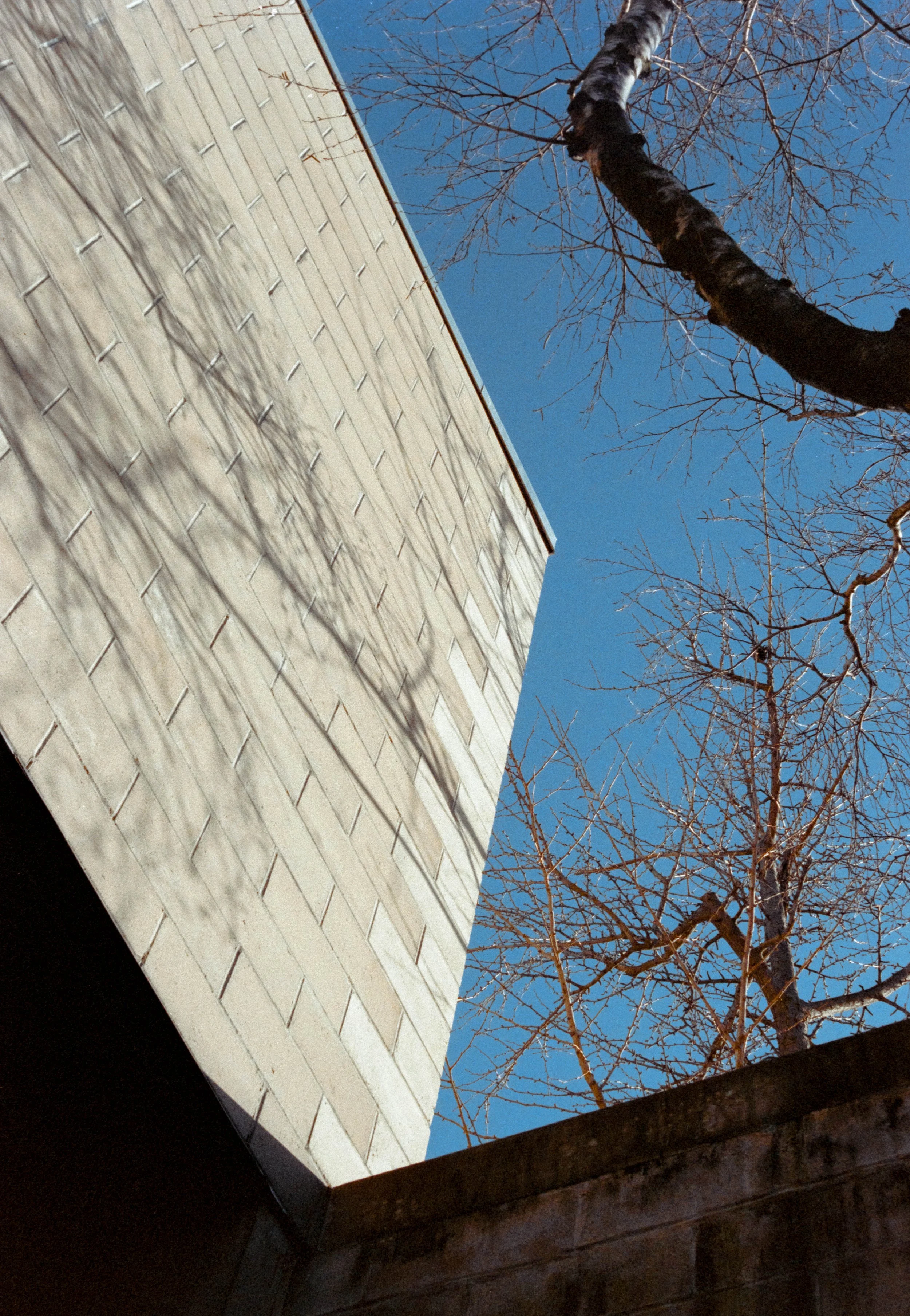 Noguchi Museum, 2024