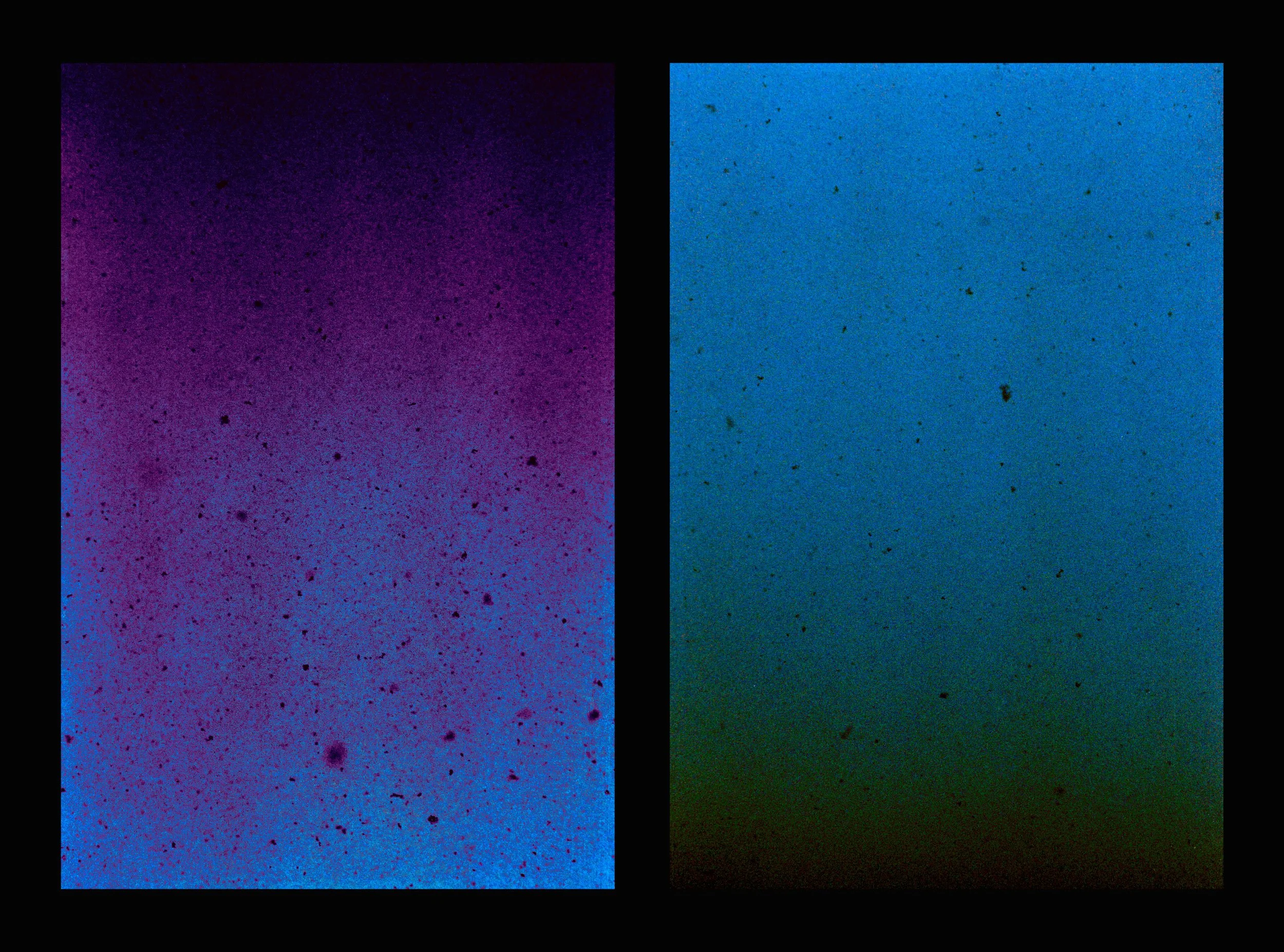 Color Study (Blizzard), 2026