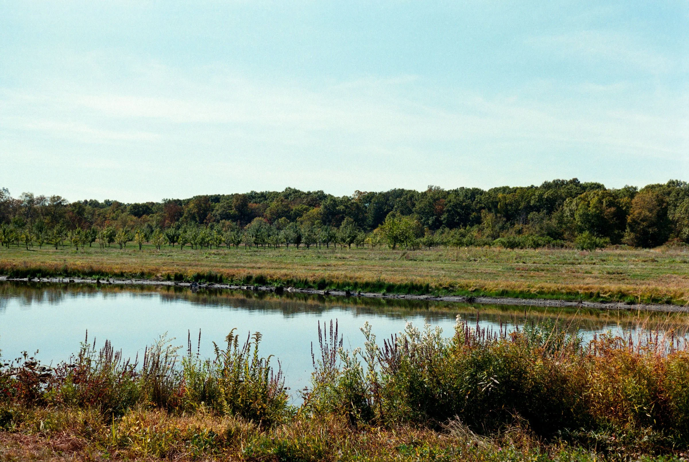 Twin Star Orchards, 2025