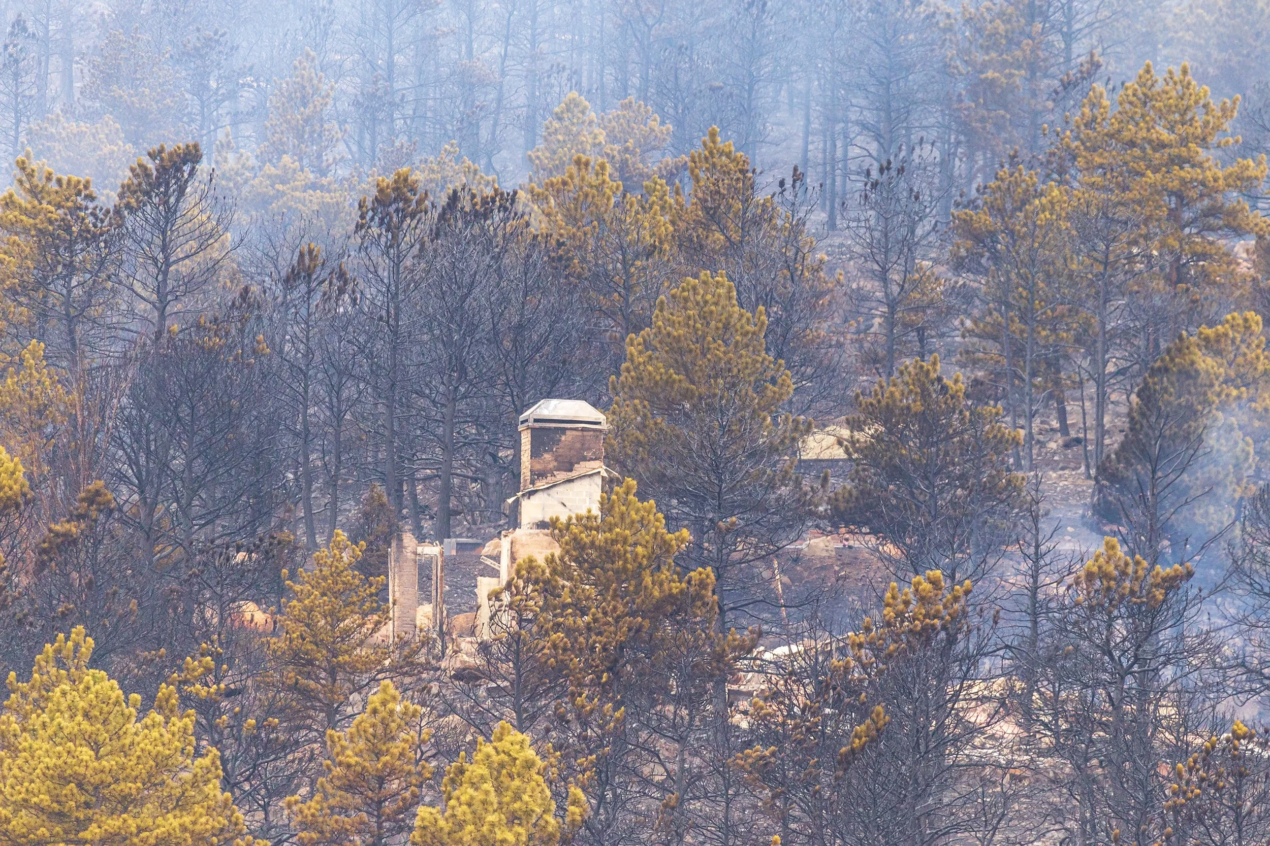 Wildfire Season Home Prep: Boulder County's Fire Mitigation Requirements