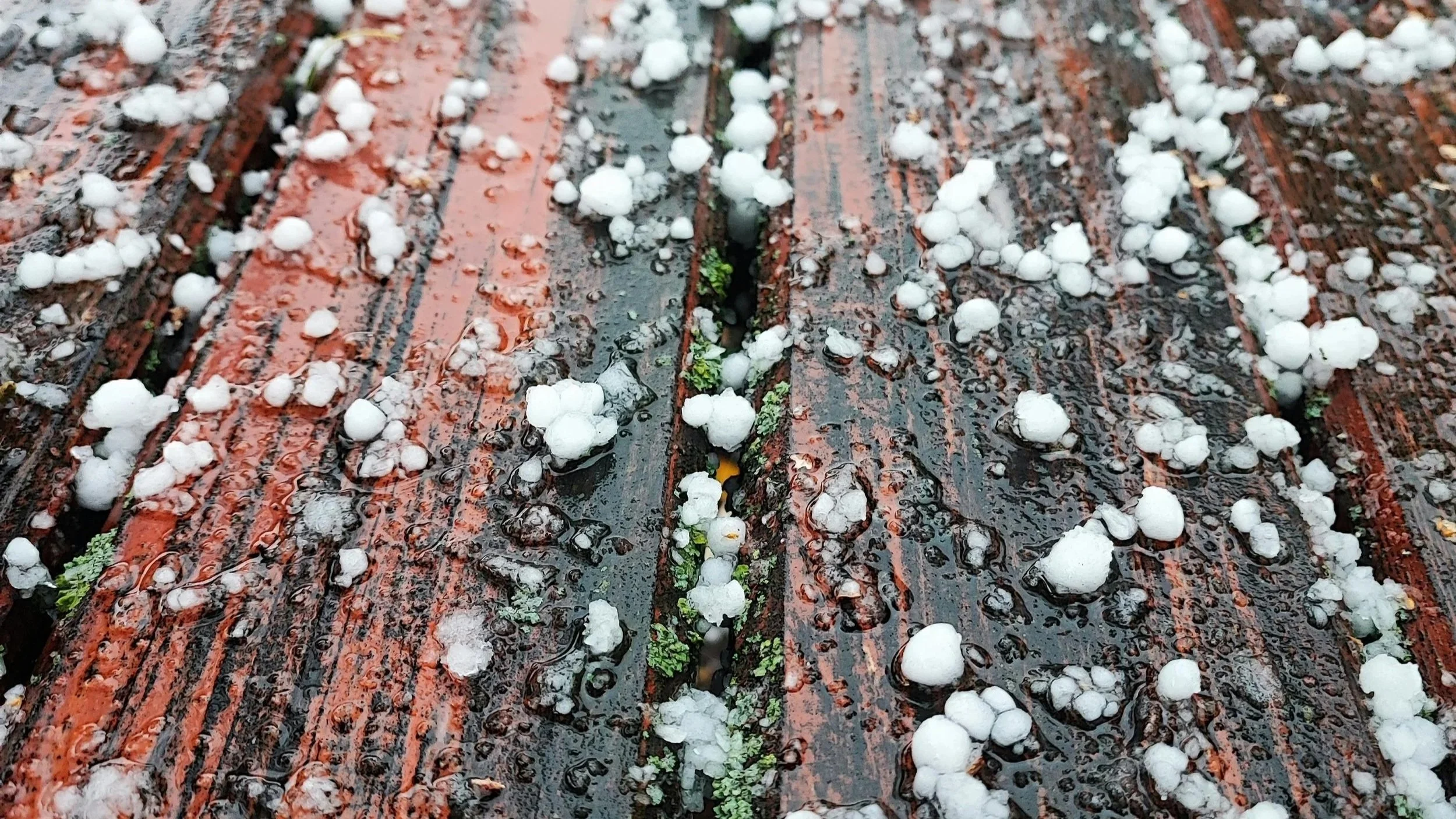Colorado Home Maintenance Guide: Protecting Your Investment in the High Desert Climate