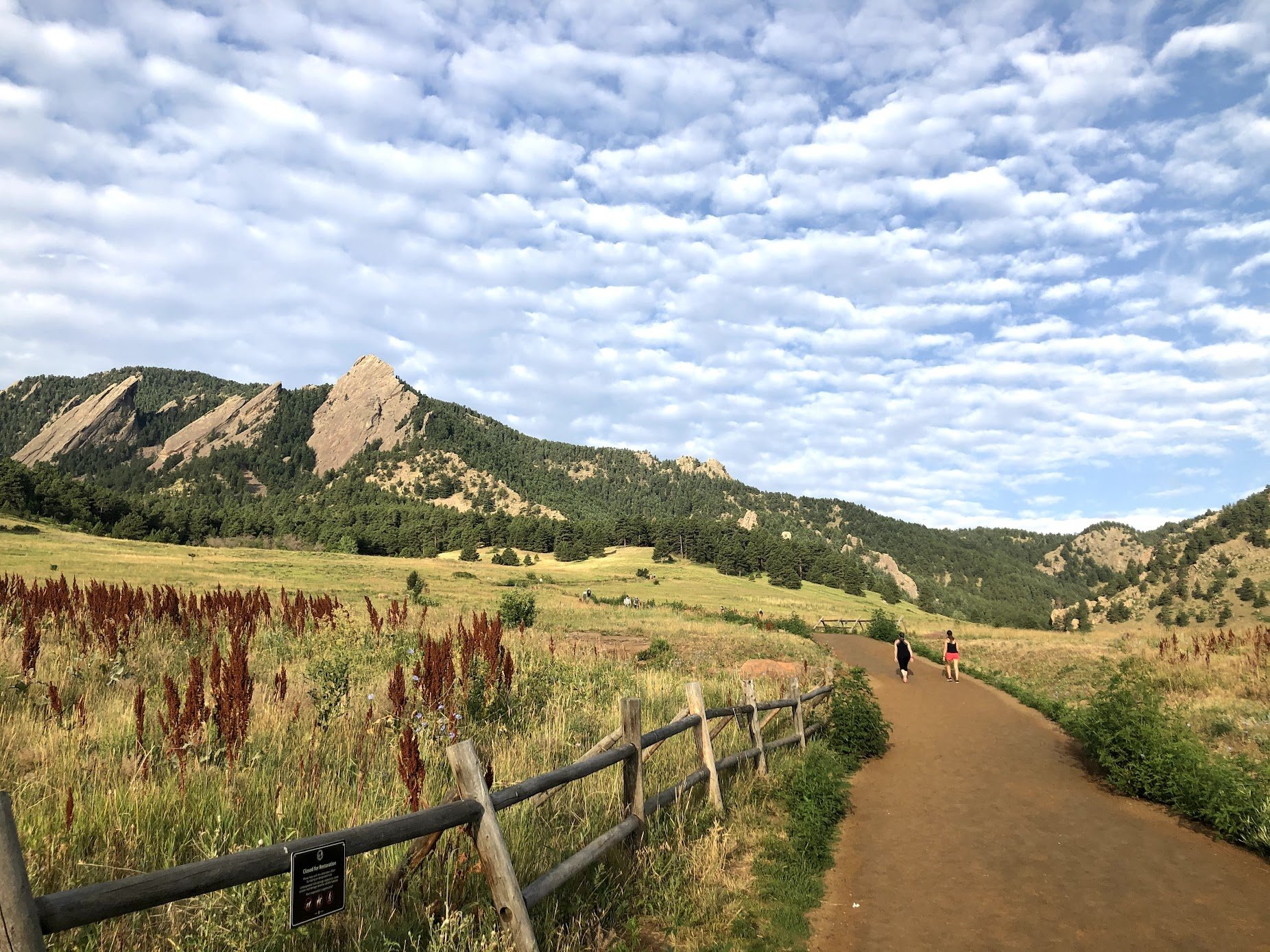 Chautauqua Park Area: Boulder's Most Iconic Neighborhood