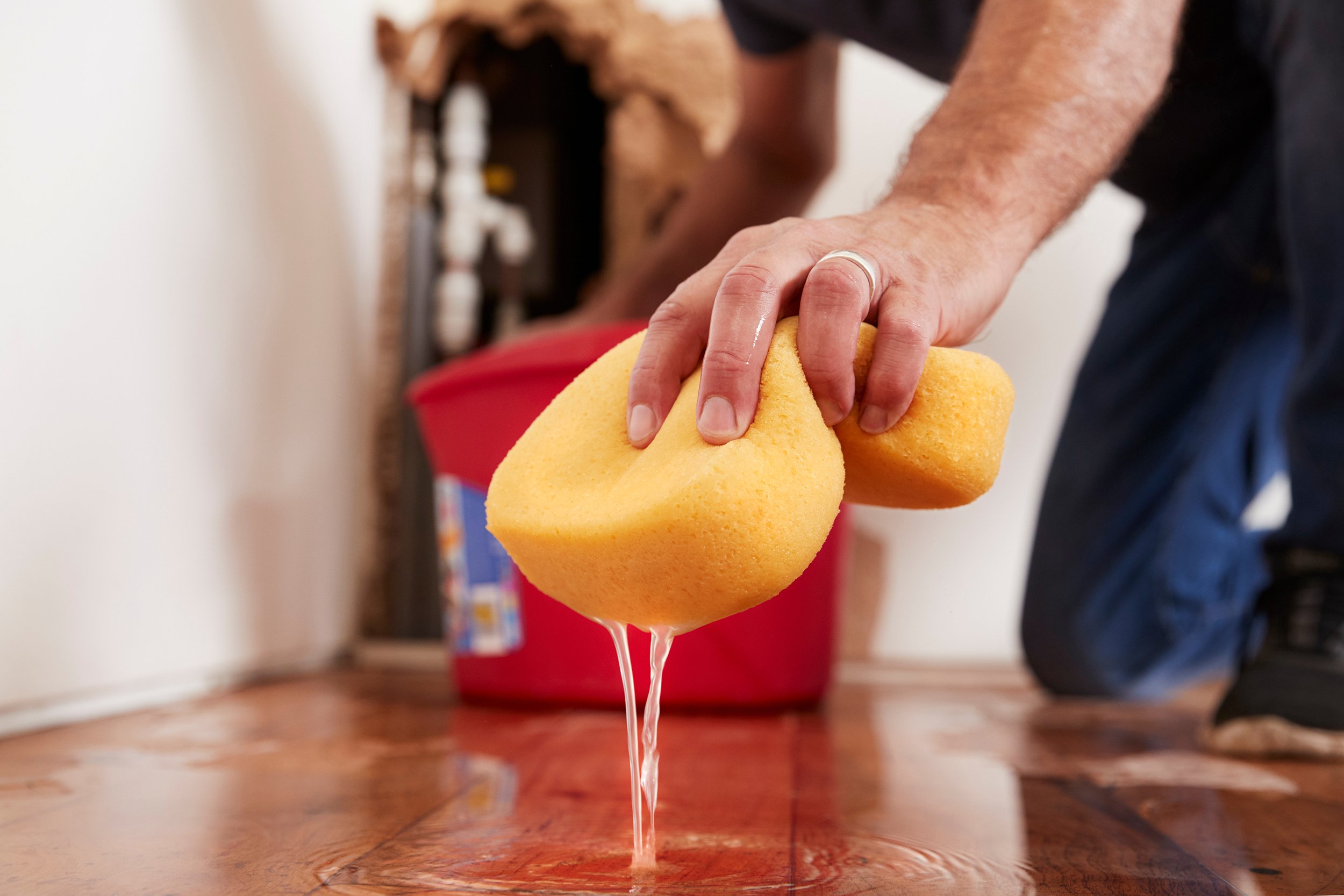 5 Signs You Need Professional Home Management (And What It Actually Costs)
