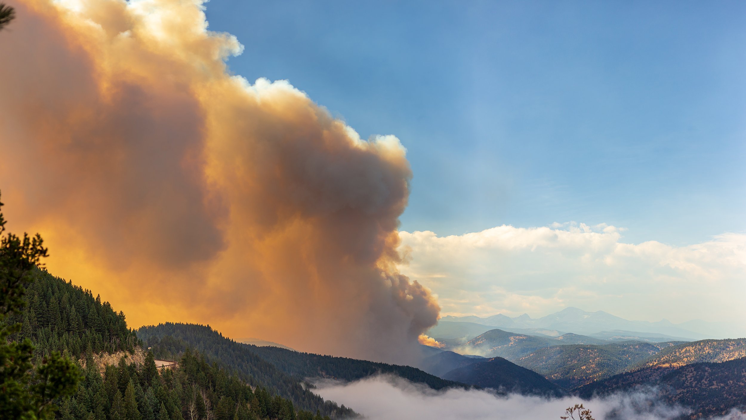 Wildfire Season Home Prep: Boulder County's Fire Mitigation Requirements