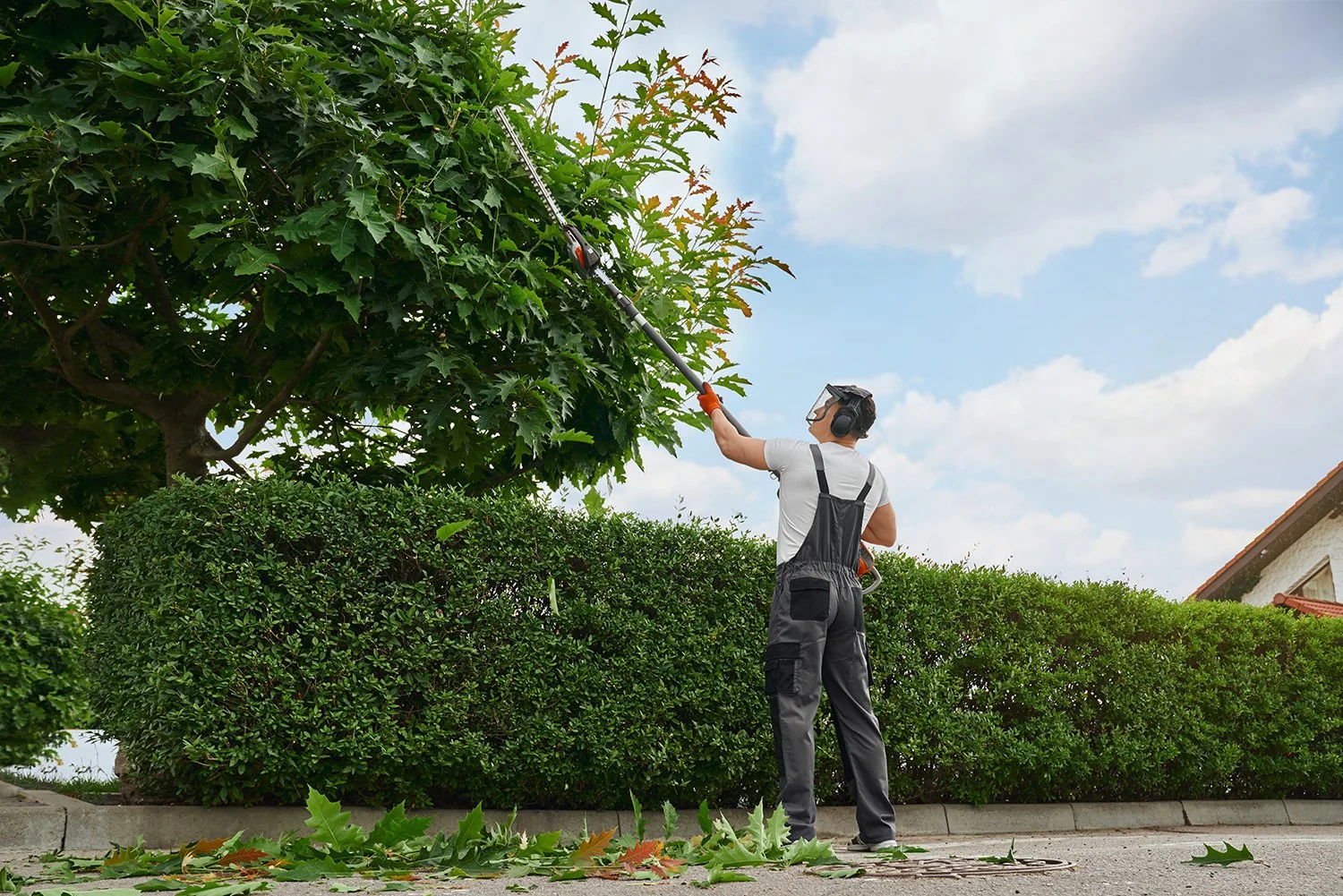  A man trims trees and hedges. Wildfire preparation in Boulder isn't a once-and-done project—it requires ongoing maintenance that changes with seasons and weather conditions. Learn more about Boulder County’s fire mitigation requirements in our comprehensive guide. 