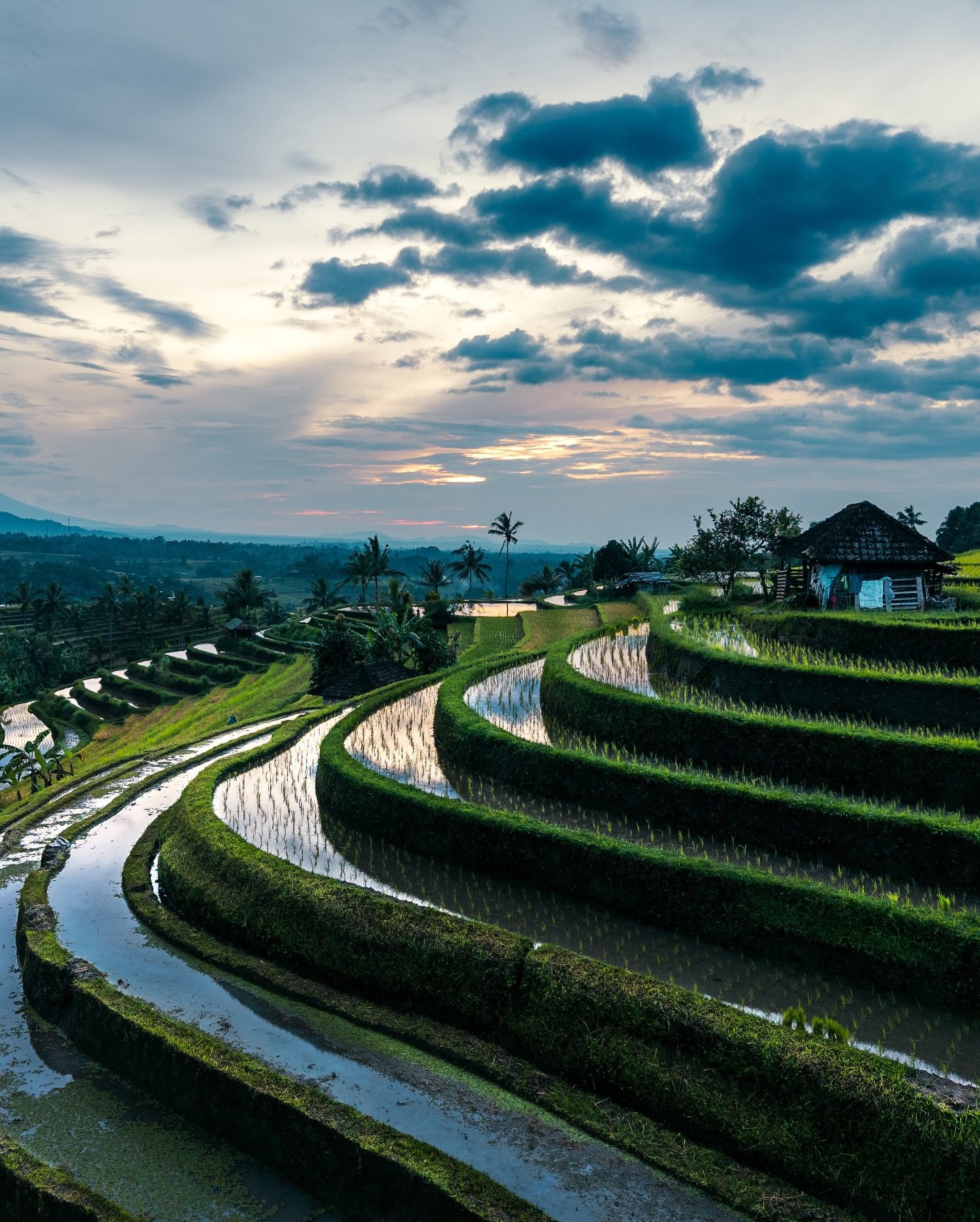 Vi stod opp kl 04:00 for &aring; oppleve dette her🤩 I l&oslash;pet av ein time hadde vi bl&aring;time, soloppgang, p&oslash;sregn og opplett🌄 

Ein nydeleg morgon! 

📍Jatiluwih Rice Terasse 

F&oslash;rste bilde: DJI Mini Pro 5 
Resten: Canon R6m3