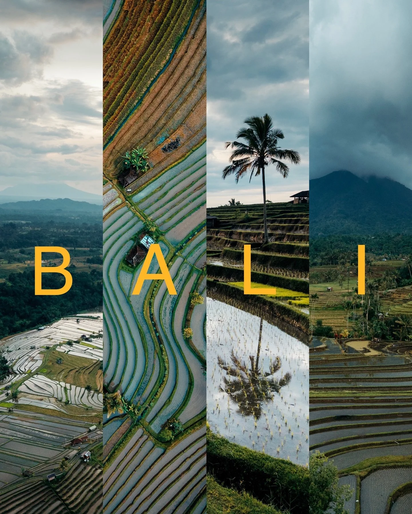 Mimrer tilbake til denne flotte dagen i Jatiluwih der vi stod opp grytidlig for &aring; f&aring; morgonlyset🤩 Det begynte fort &aring; regne, men det vart fint p&aring; bilda. 

In frame @siljamasdal 📸

Ser mange lager s&aring;nn collage med 4 bild