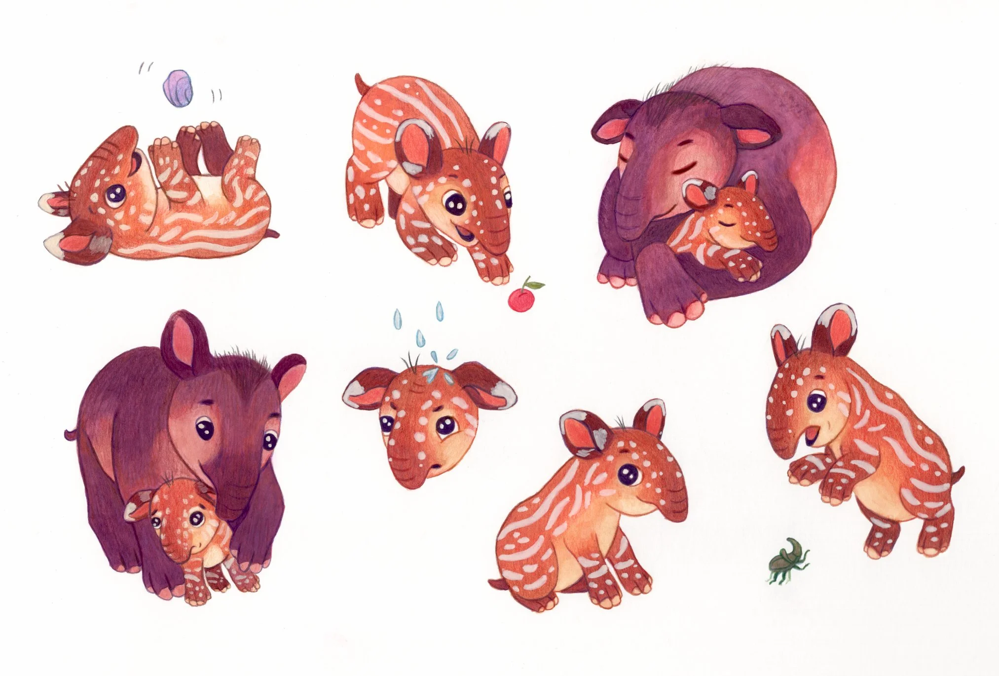 Tapir Character studies - Its Me mentorship program 2024