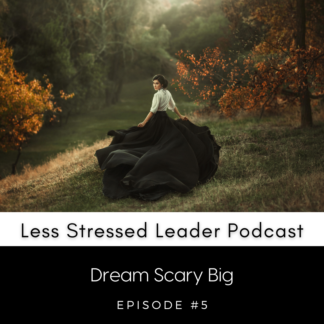 Ep.5/ Dream Scary Big