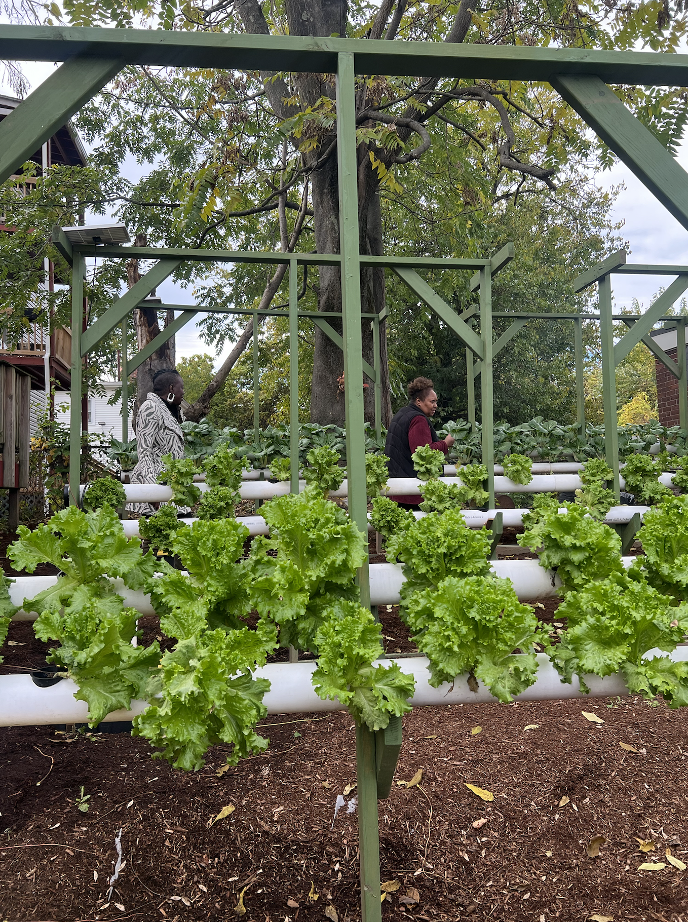 Screenshot 2025-10-23 at 12.49.29 AM.png