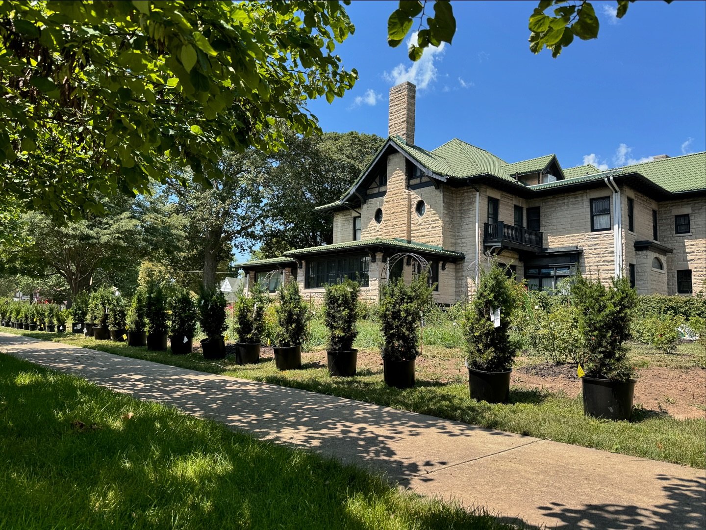 This weekend we planted a row of evergreen upright yews to create a privacy screen for the English garden and event lawn