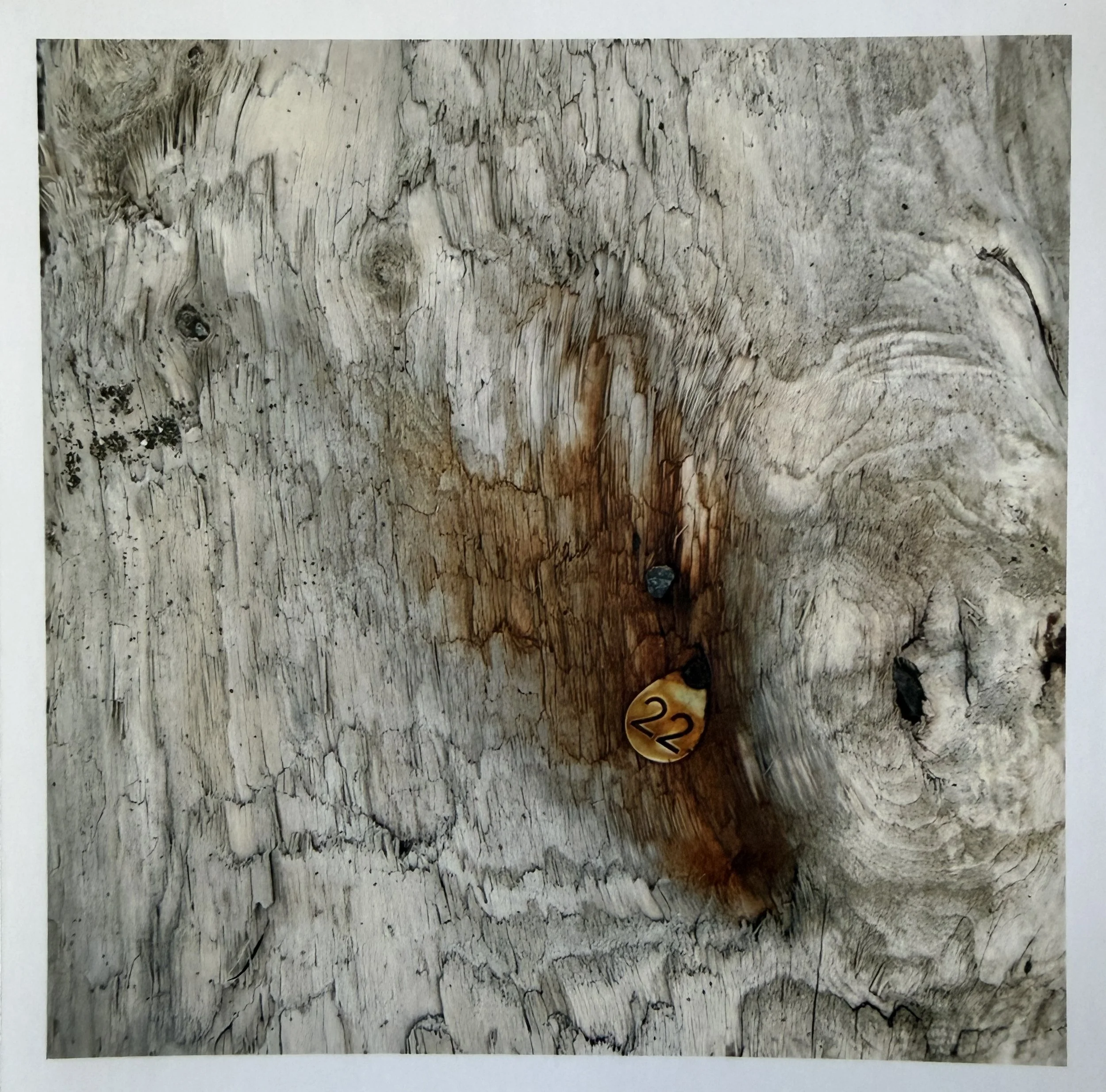 Drift log No. 22