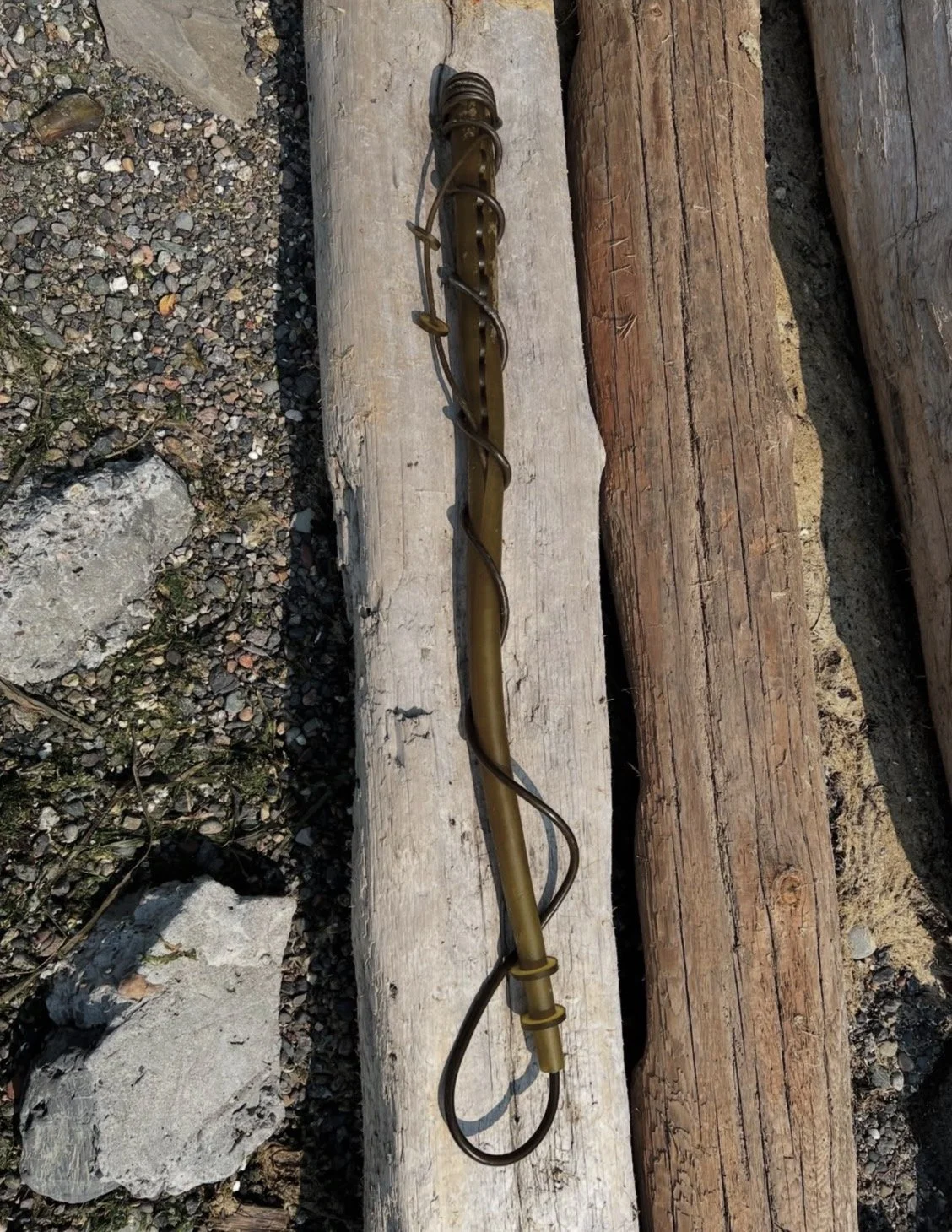 IMG_5013.jpg