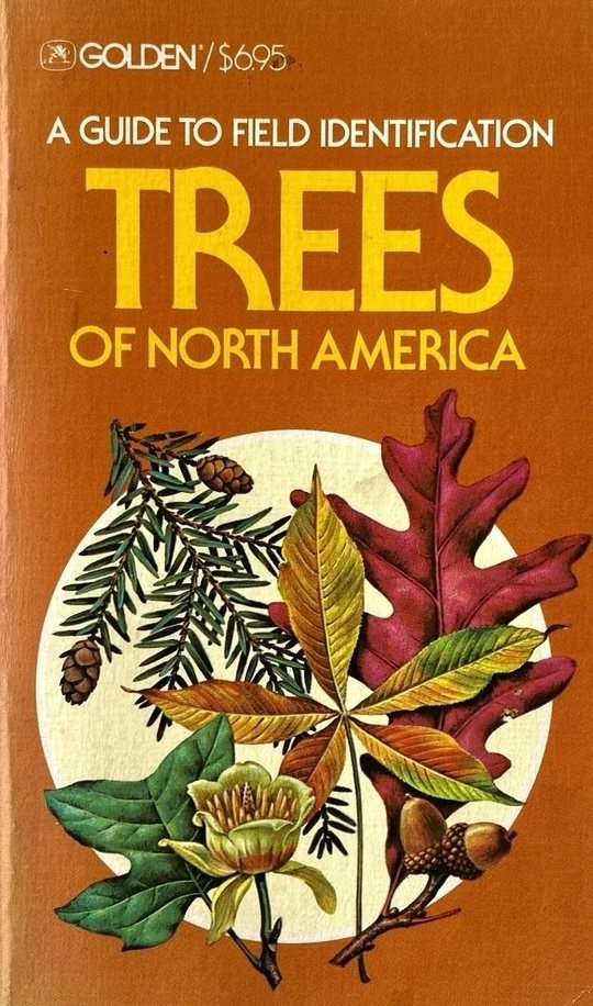 trees.jpg