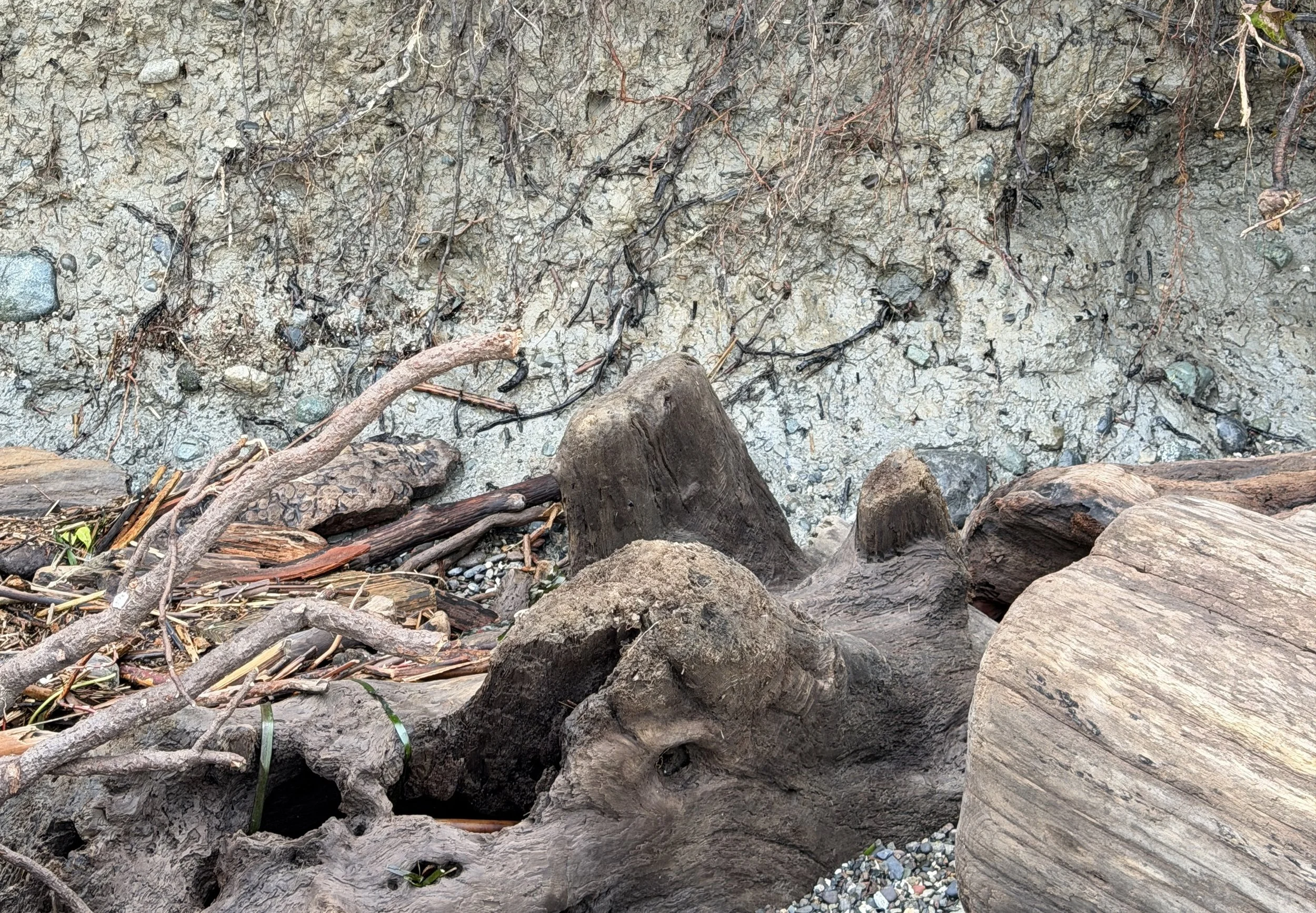 Bank erosion with exposed clay