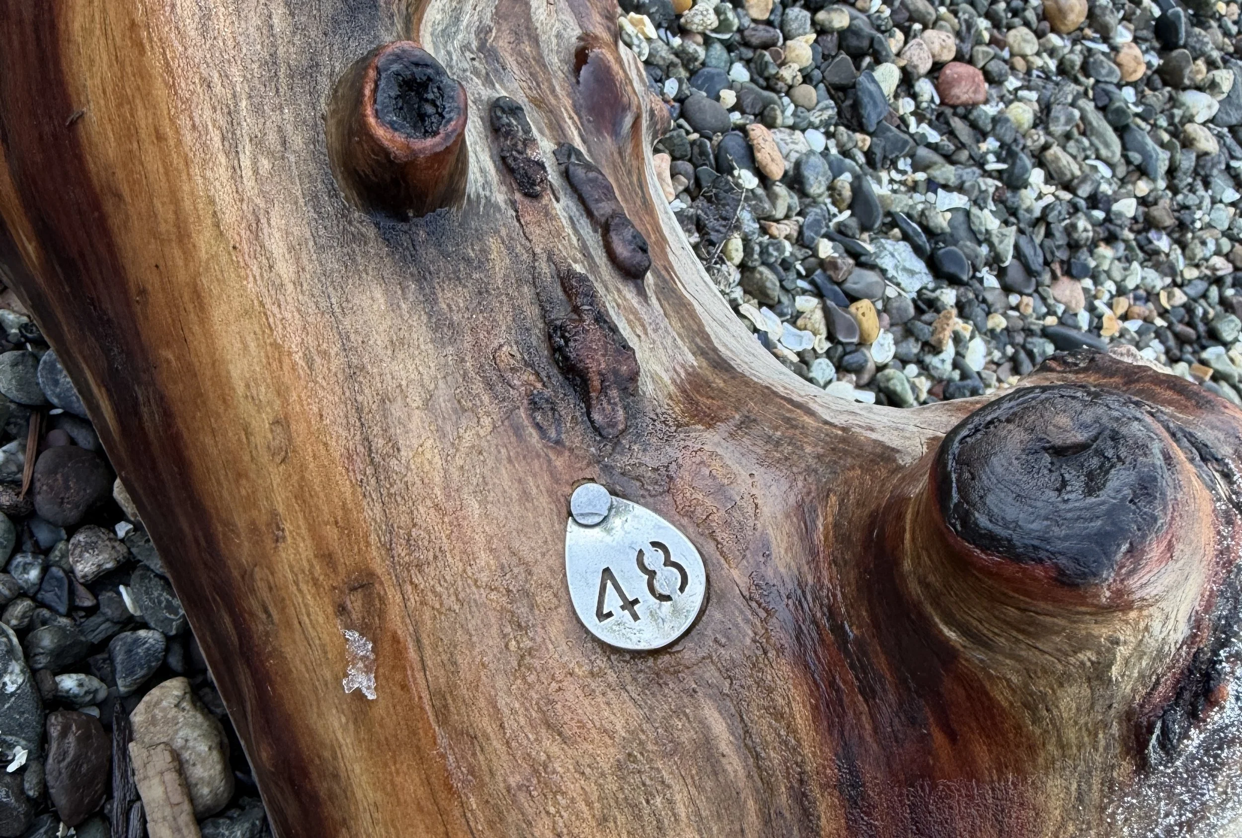 Drift log No. 48