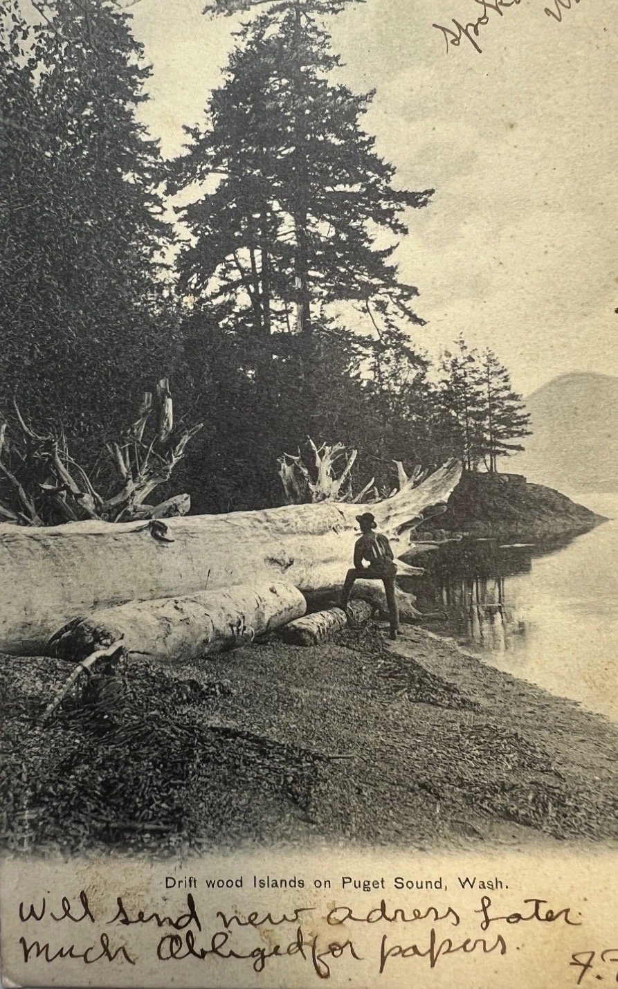 Vintage postcard "Drift wood islands on Puget Sound, Wash."