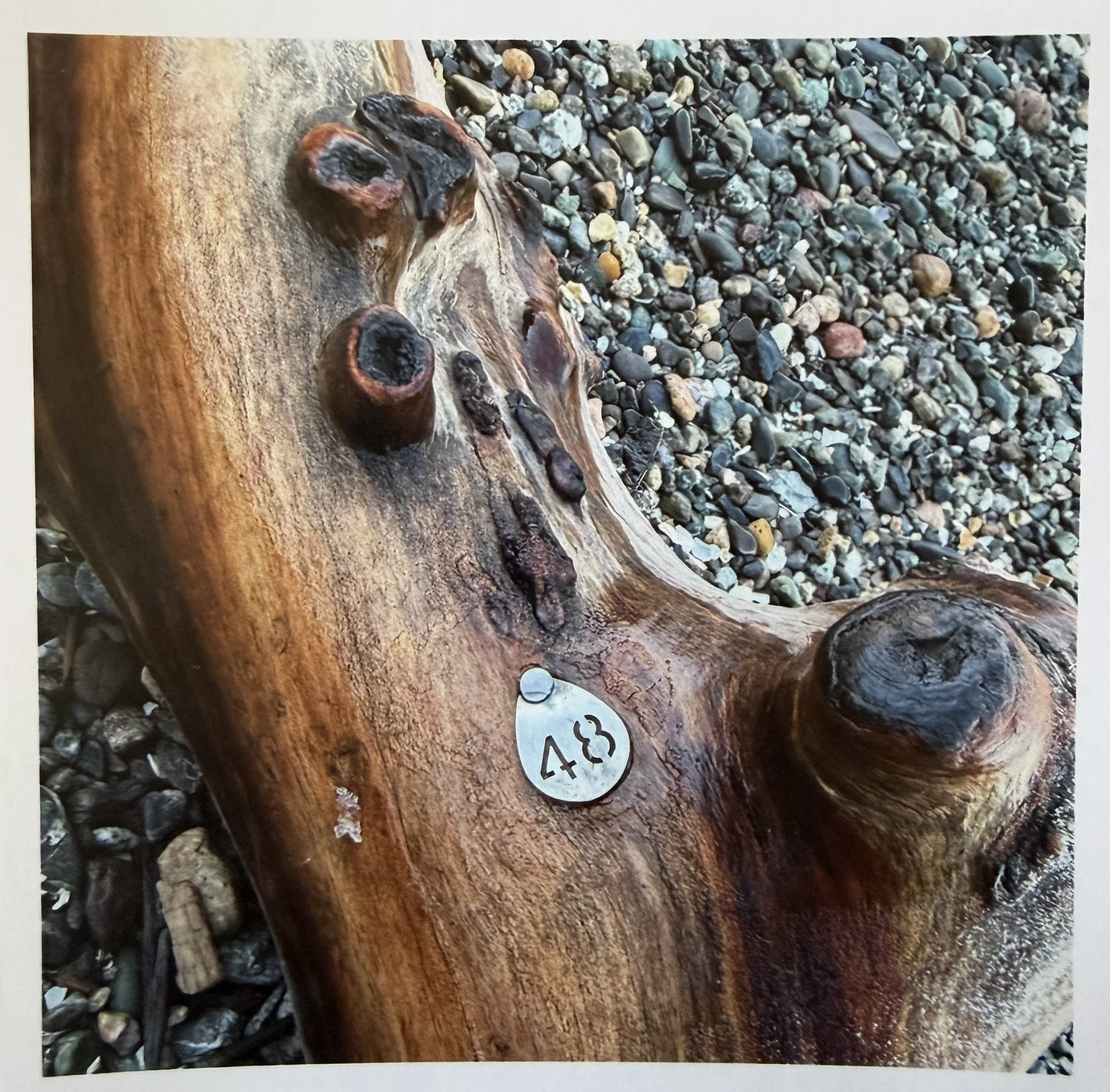Drift log No. 48