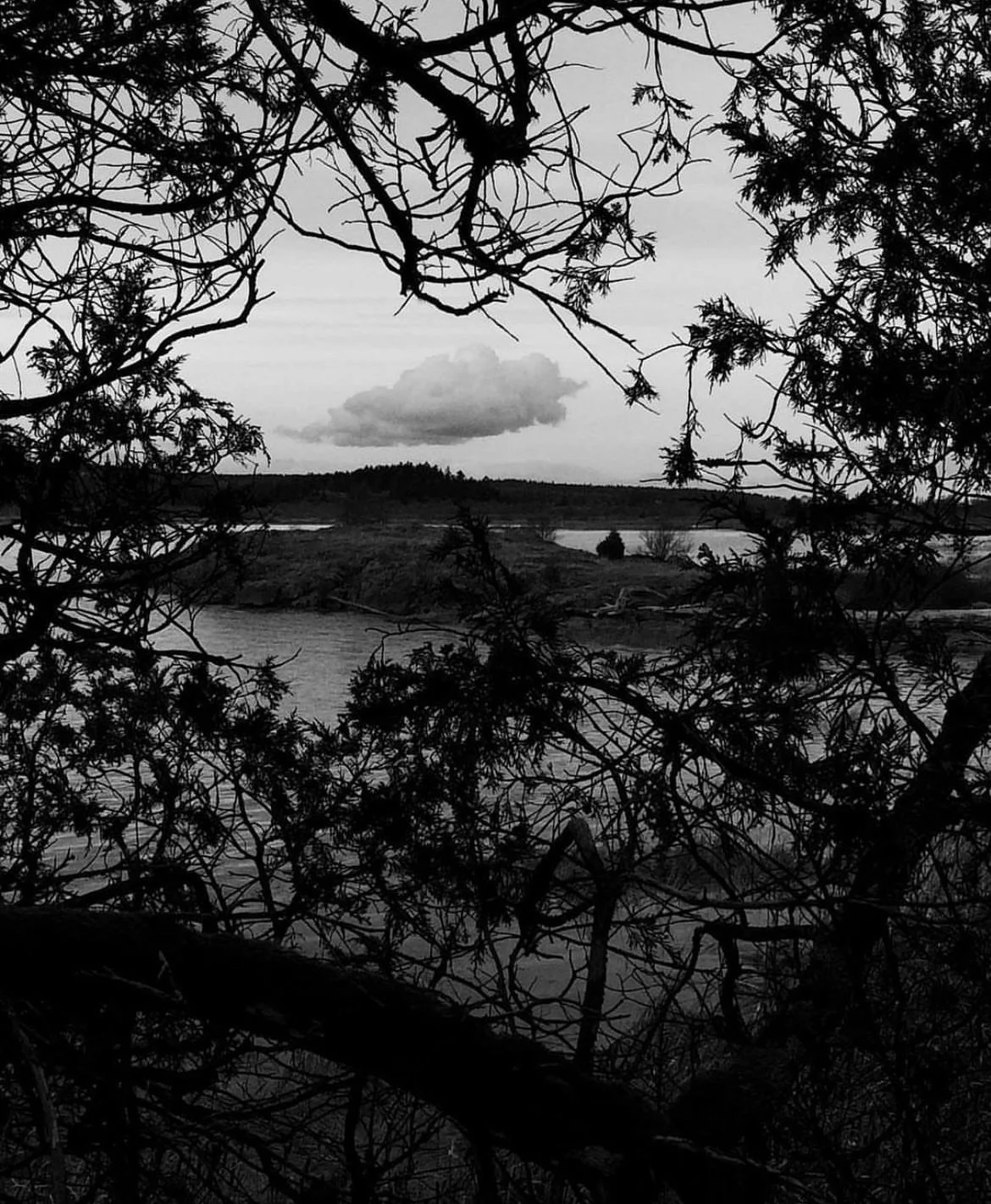 IMG_5580.jpeg