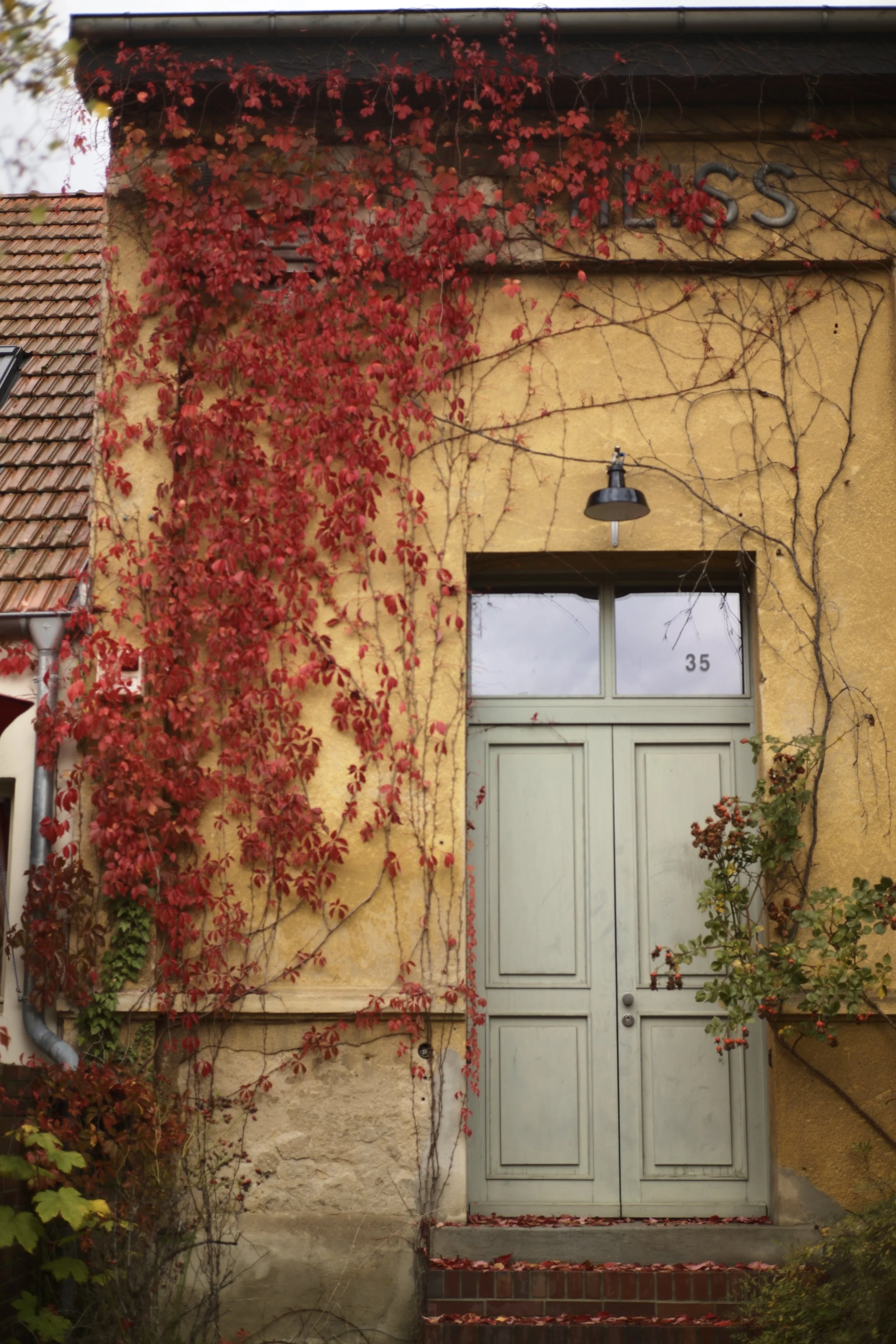 A yellow house with a gray door numbered 35, surrounded by red and green climbing vines and plants, with a black outdoor light above the door and a portion of a tiled roof visible.