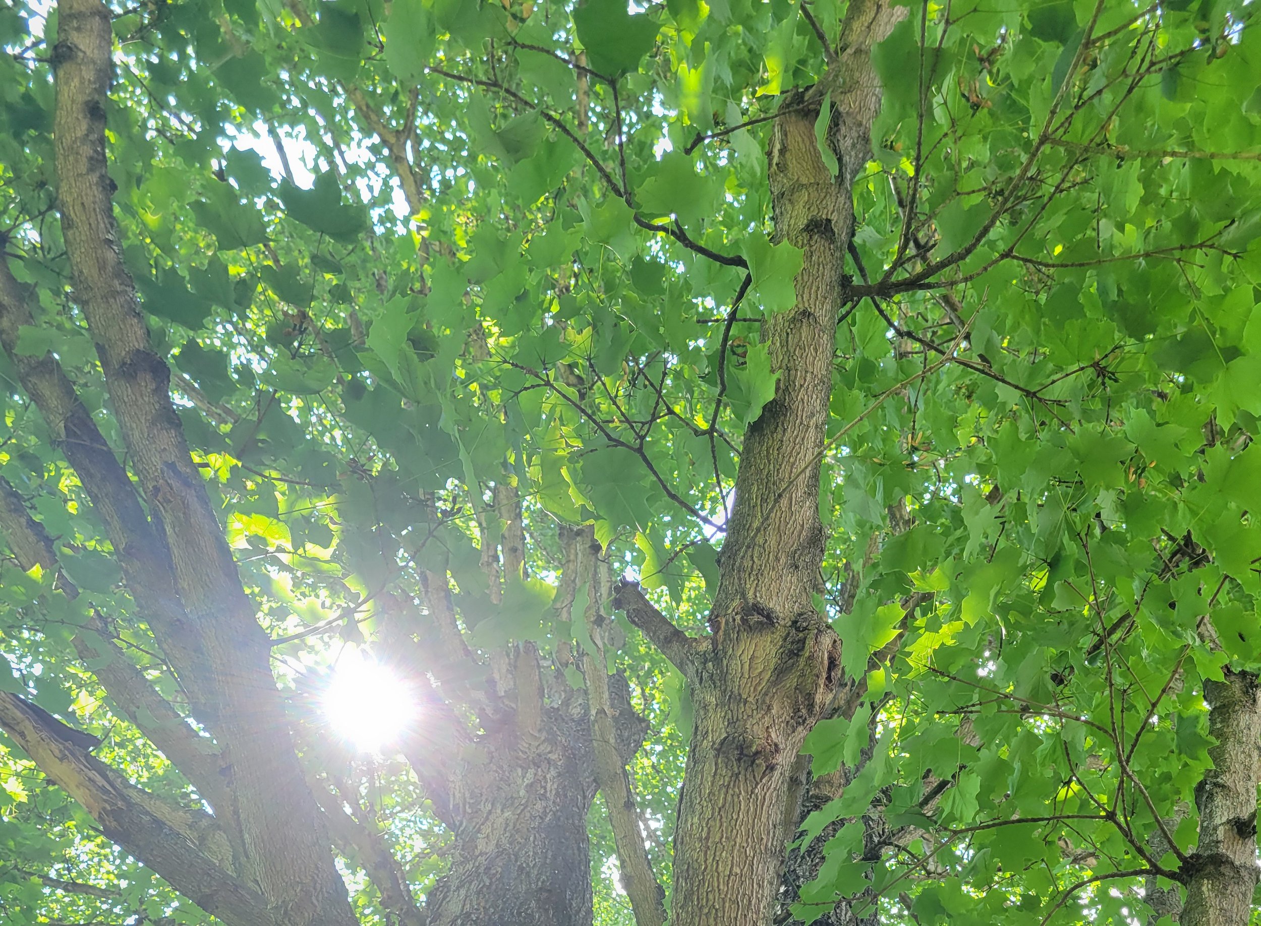 Go Ahead And Stop Hoping