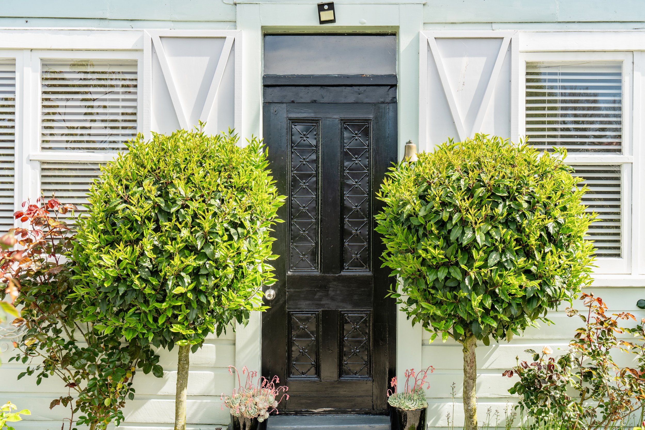 Highlight Video | $350