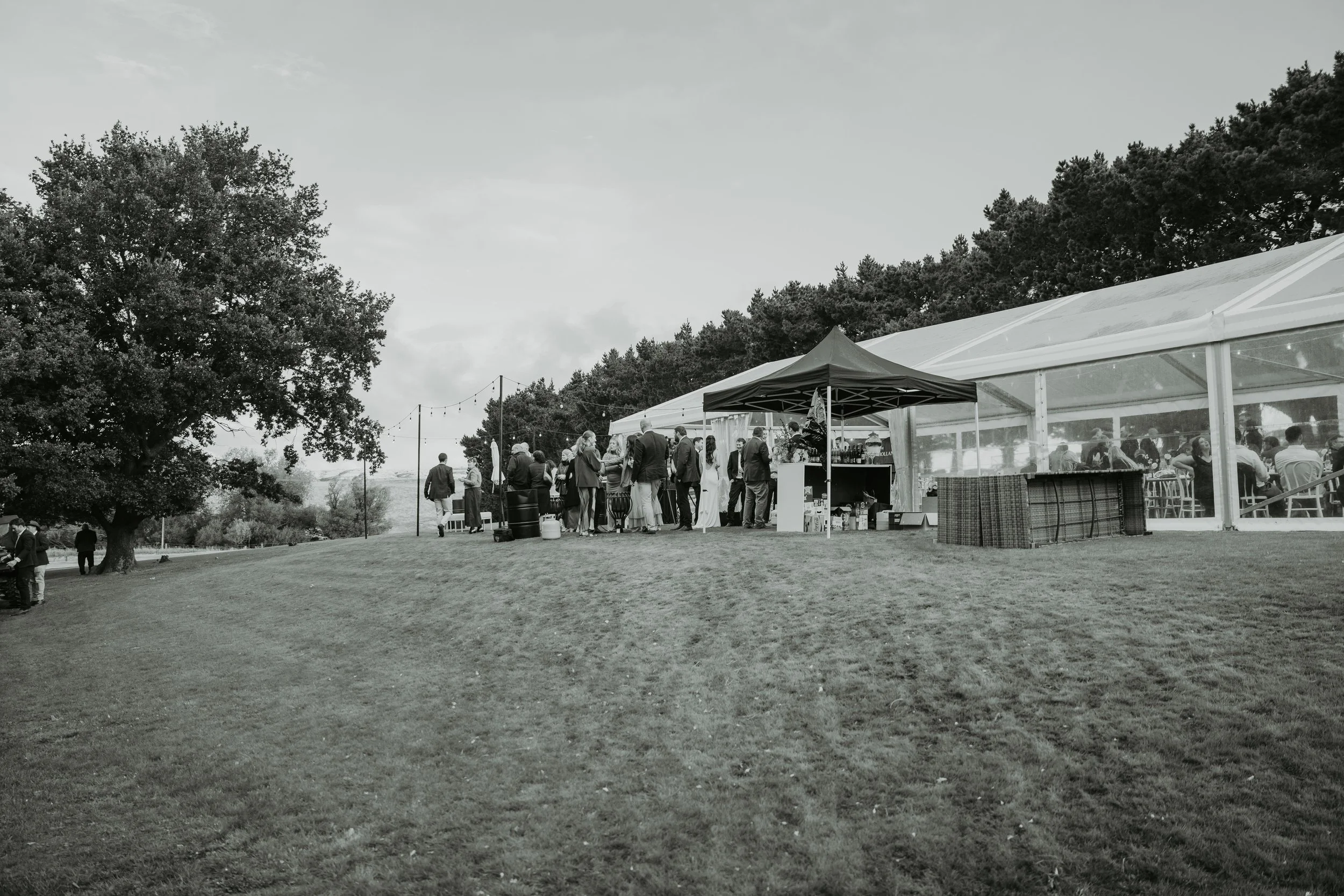 tjw_reception_283.jpg